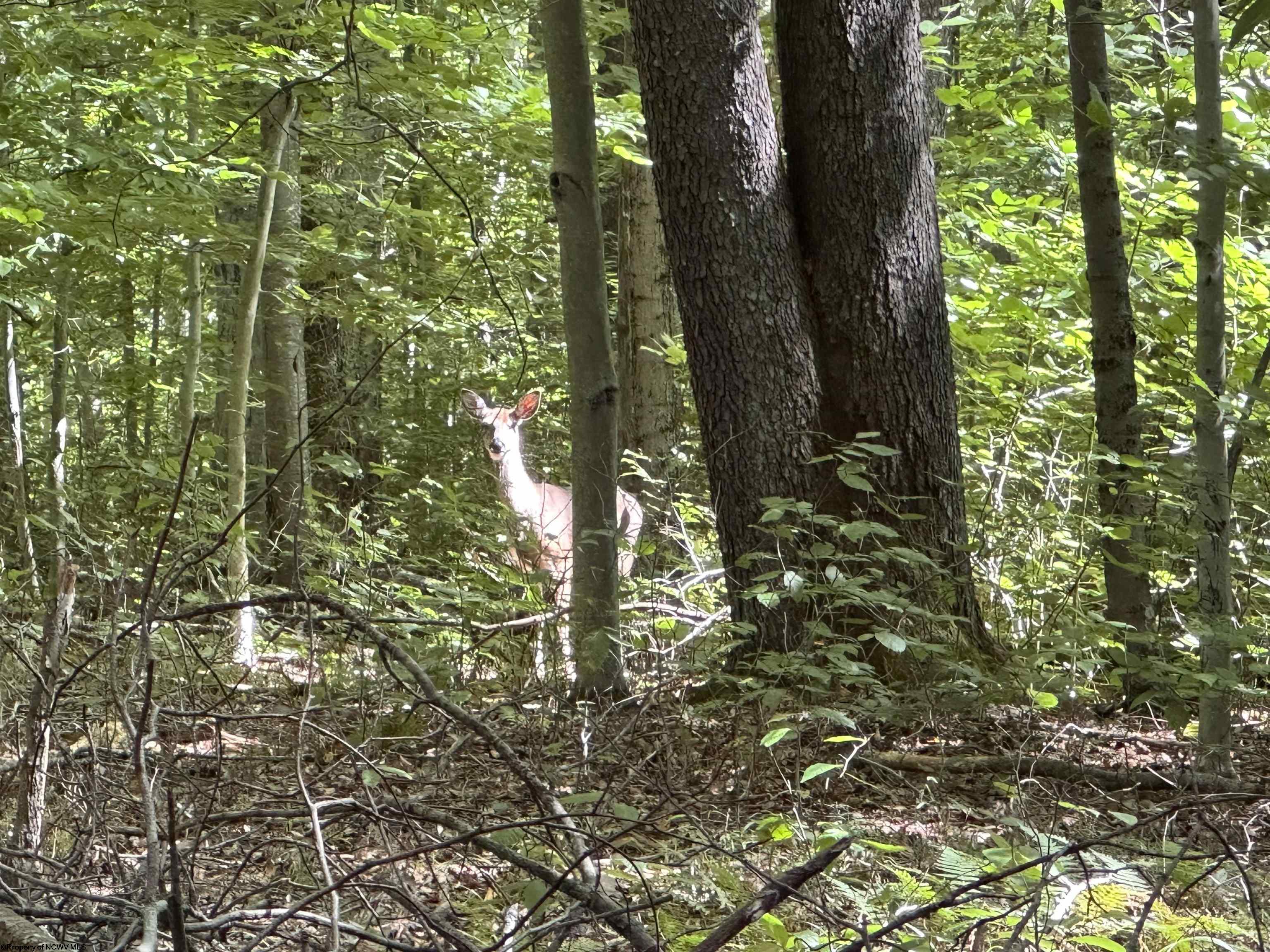 Real Estate • Best Of Canaan Real Estate & Vacation Rentals