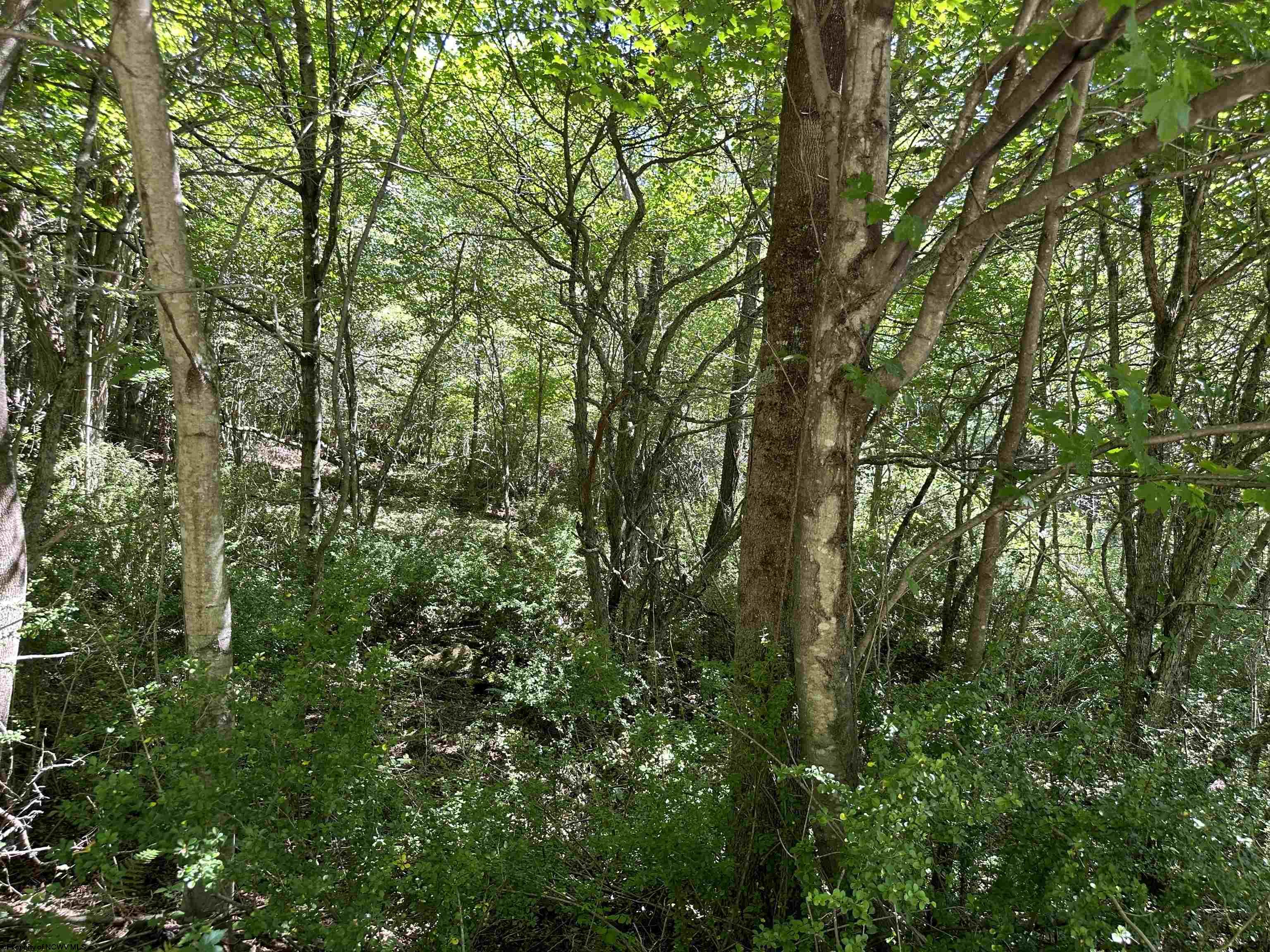 Real Estate • Best Of Canaan Real Estate & Vacation Rentals