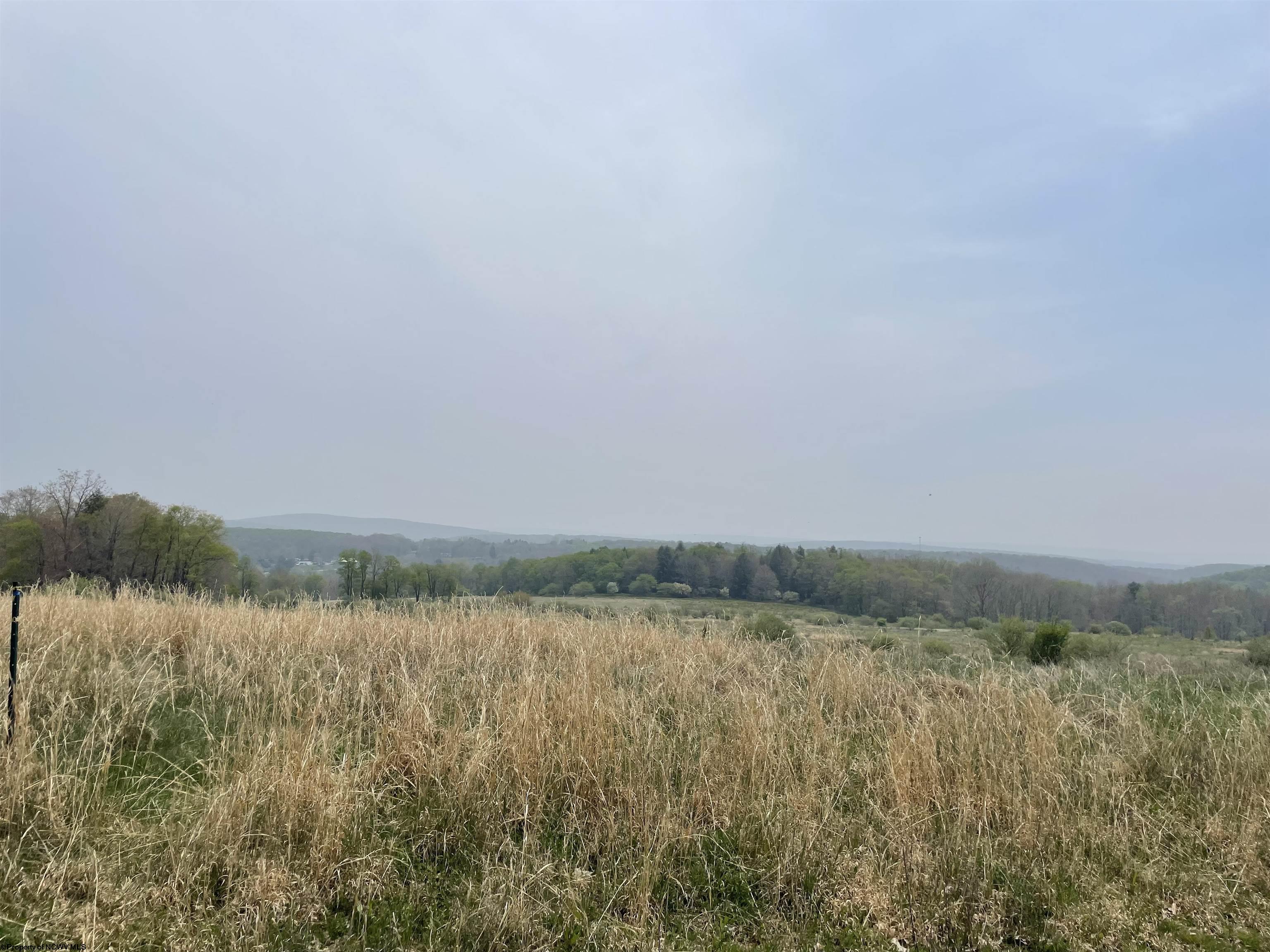 48 SNOWY CREEK STREET, TERRA ALTA, WV 26764 Vickie Jenkins Properties