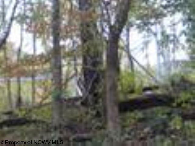 Gallery Image 12
