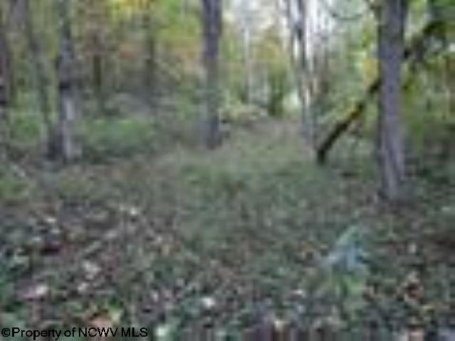Gallery Image 13
