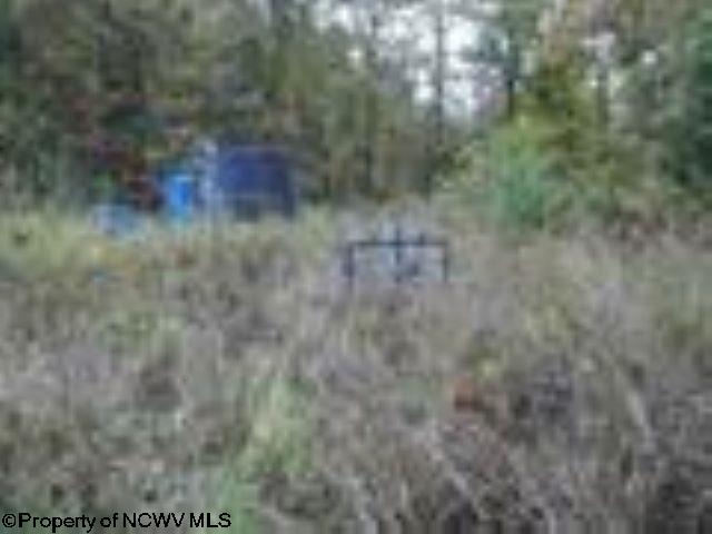Gallery Image 14