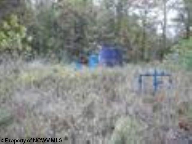 Gallery Image 15