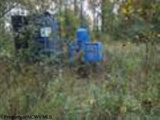 Gallery Image 17