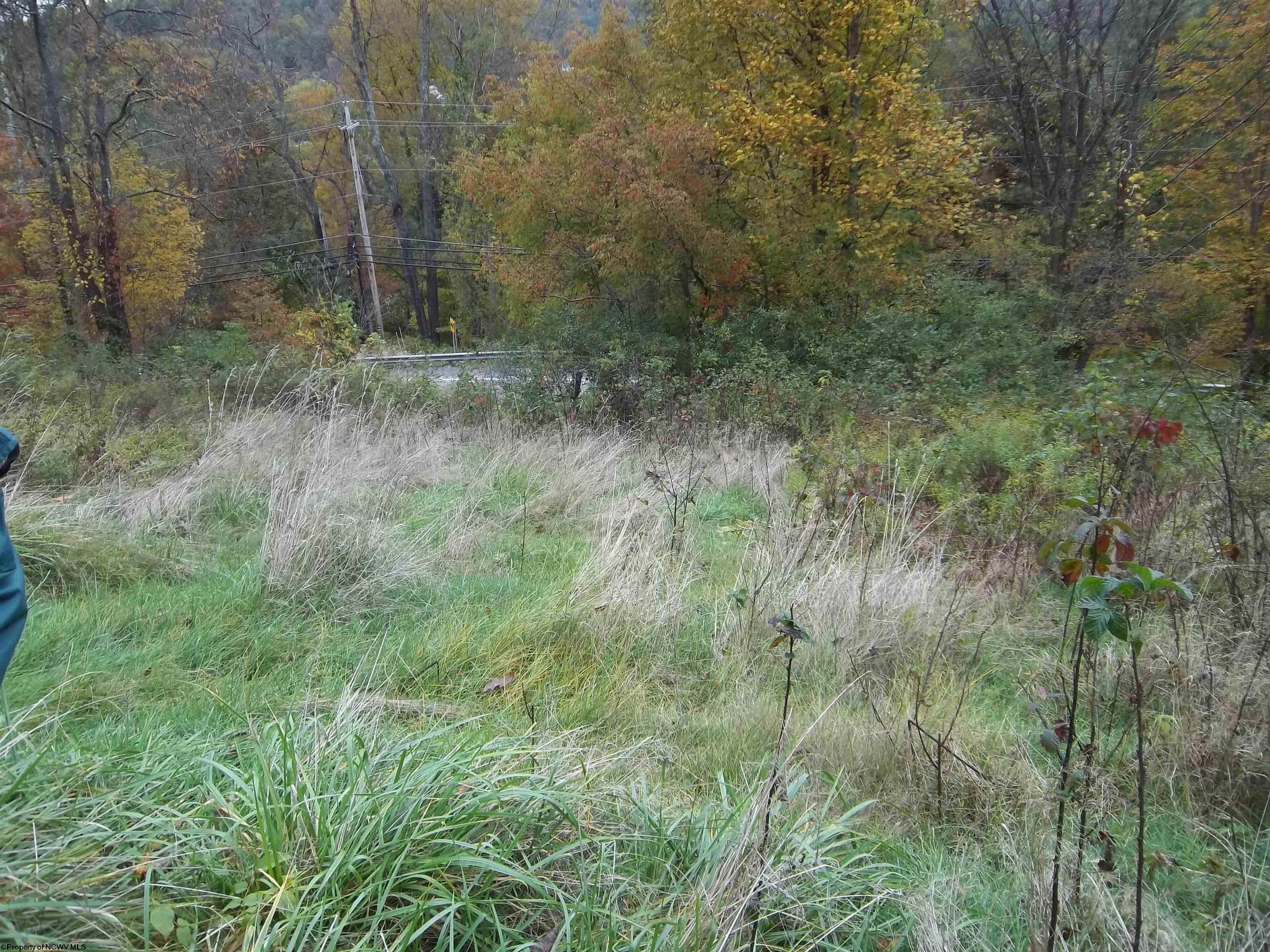 Gallery Image 21