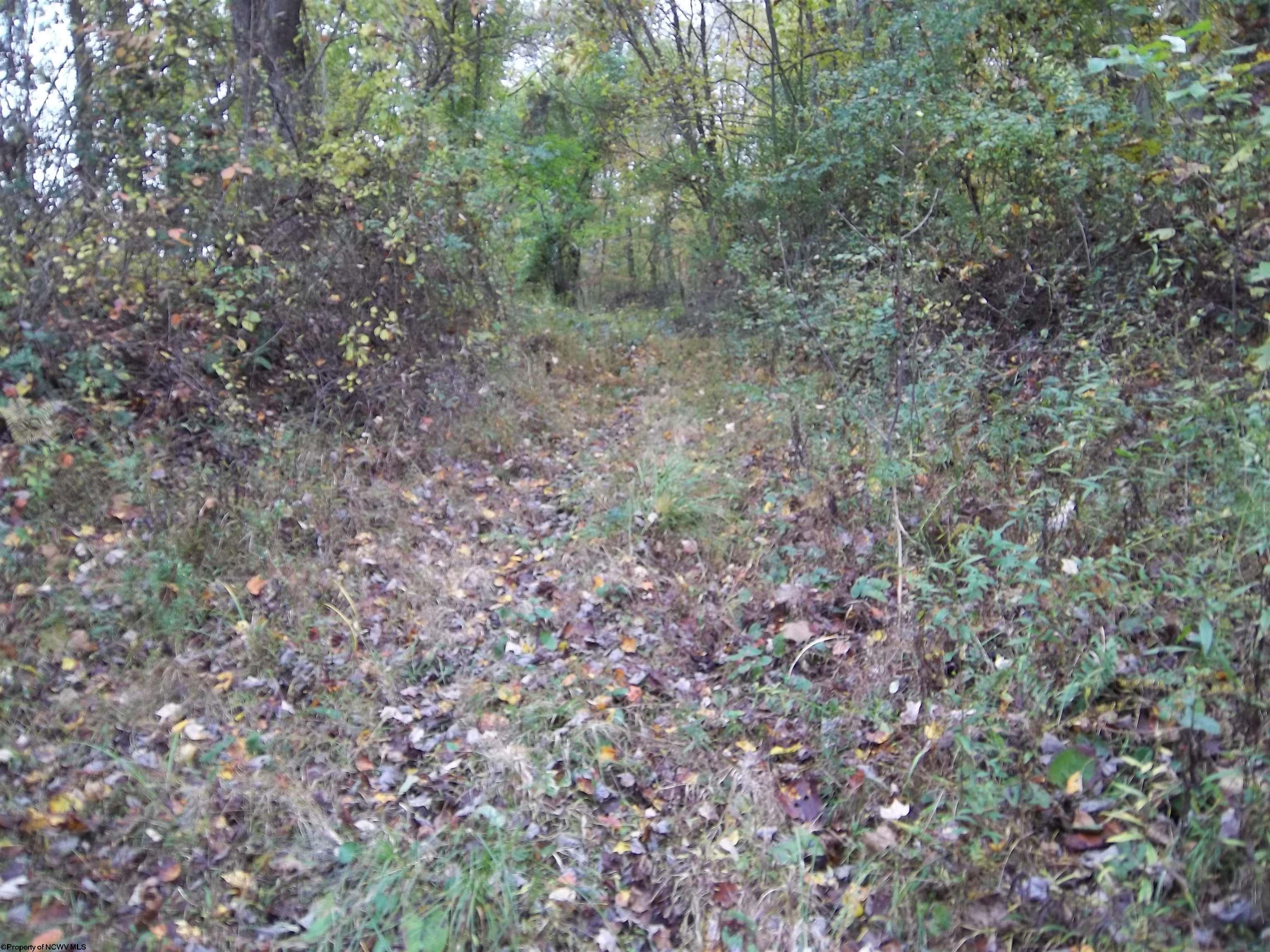 Gallery Image 25