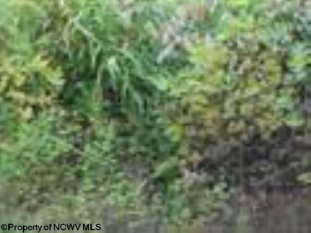 Gallery Image 29