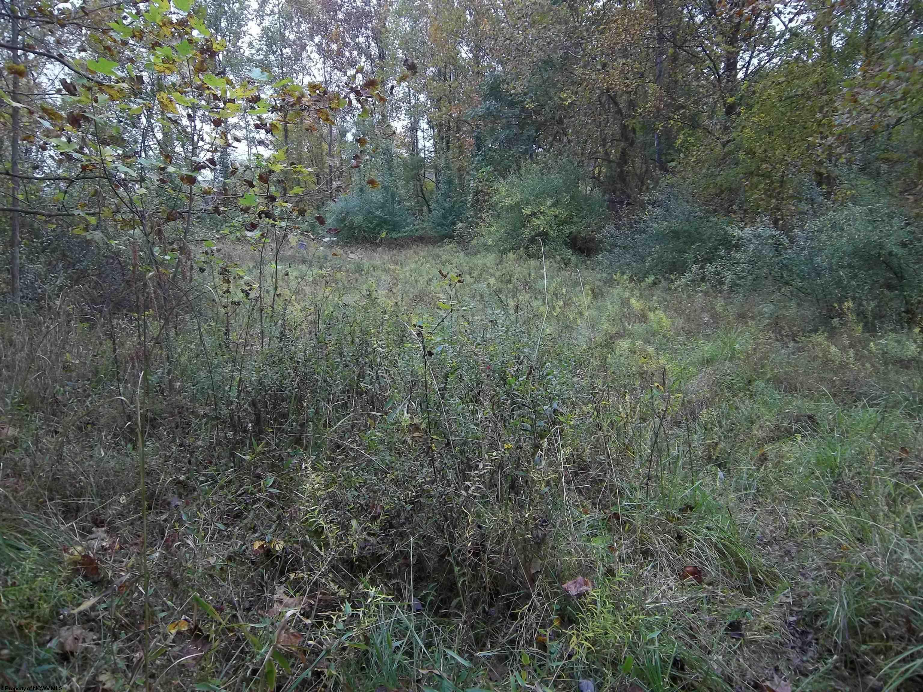 Gallery Image 35