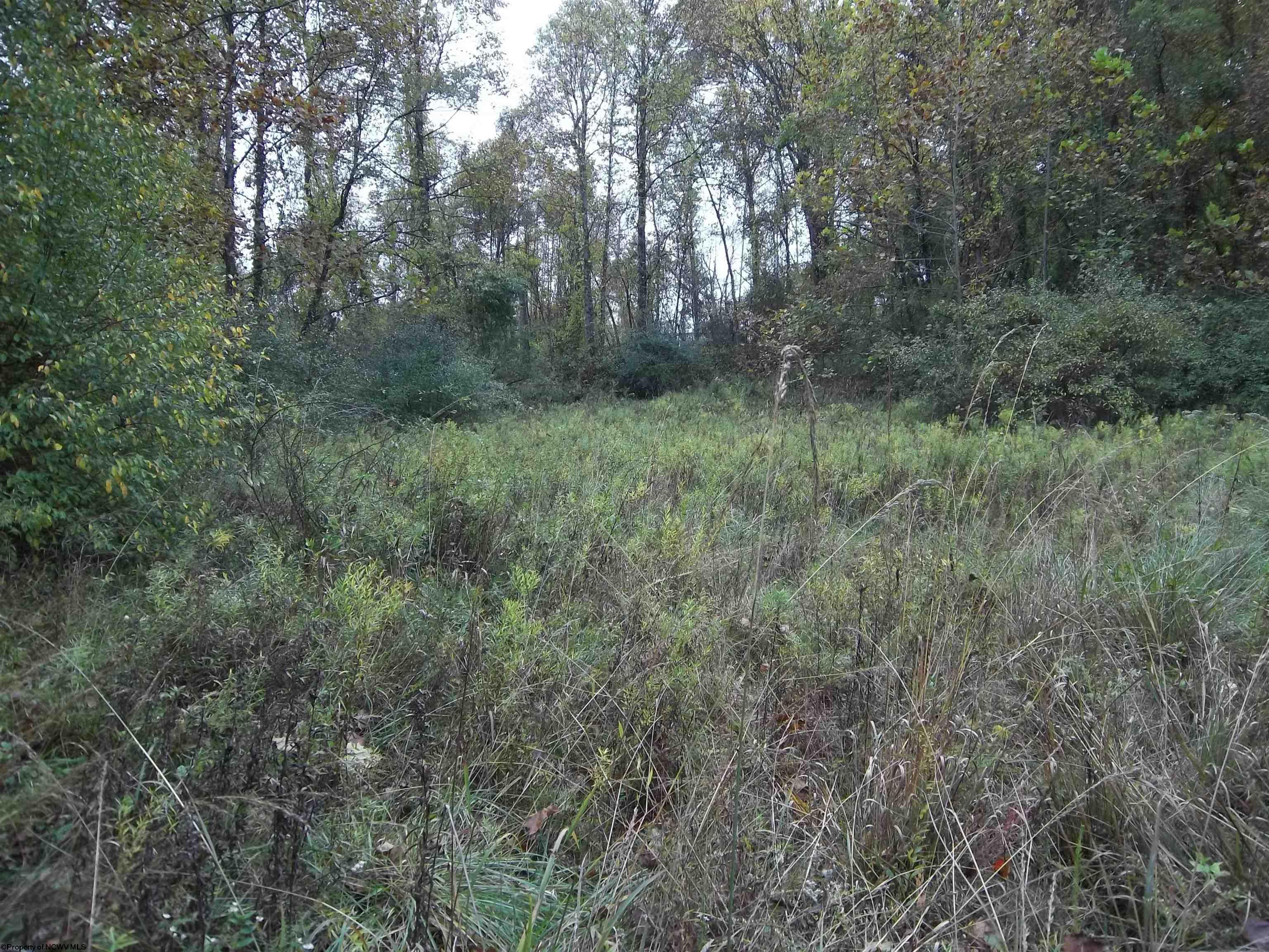 Gallery Image 36