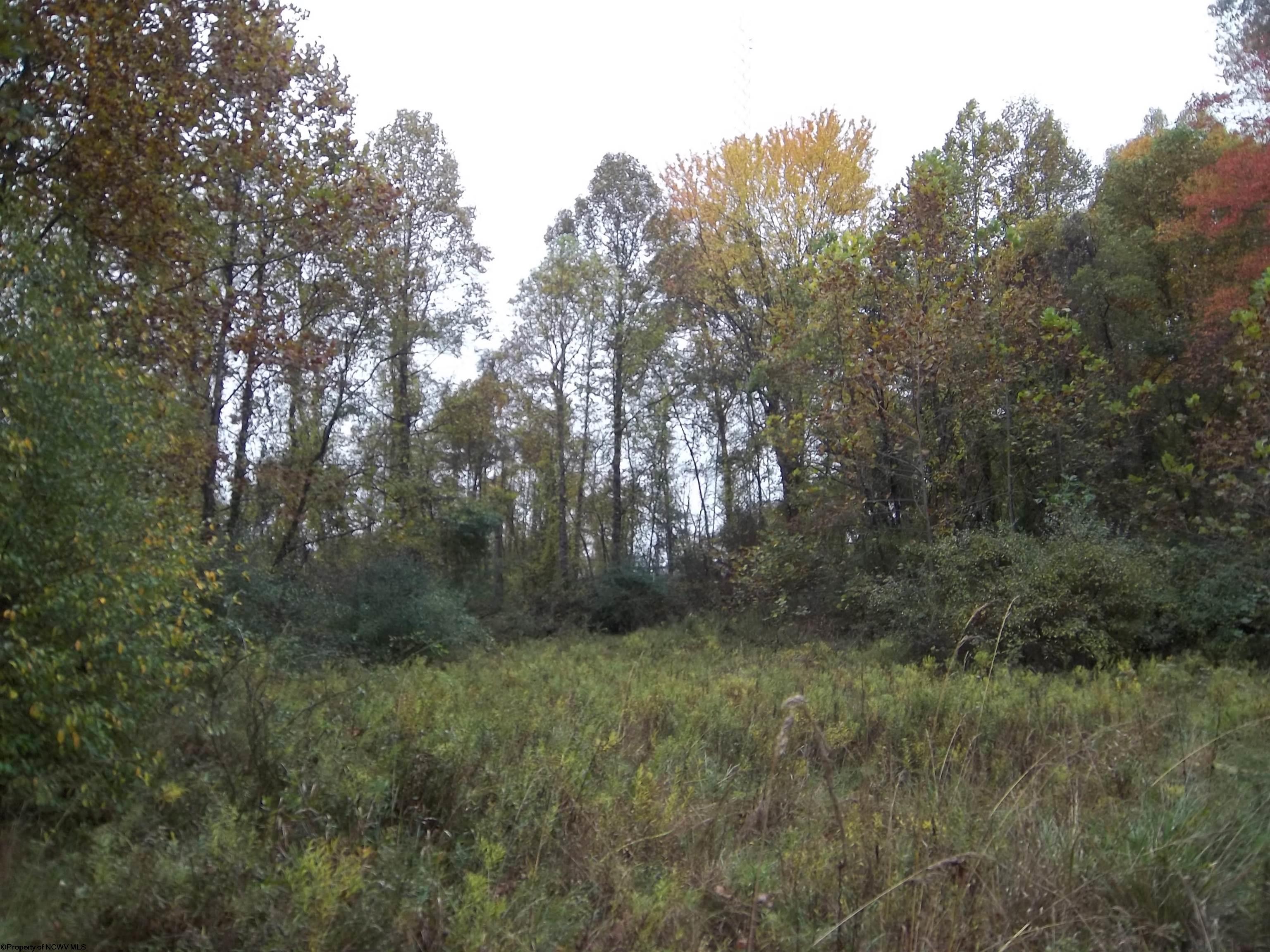 Gallery Image 37