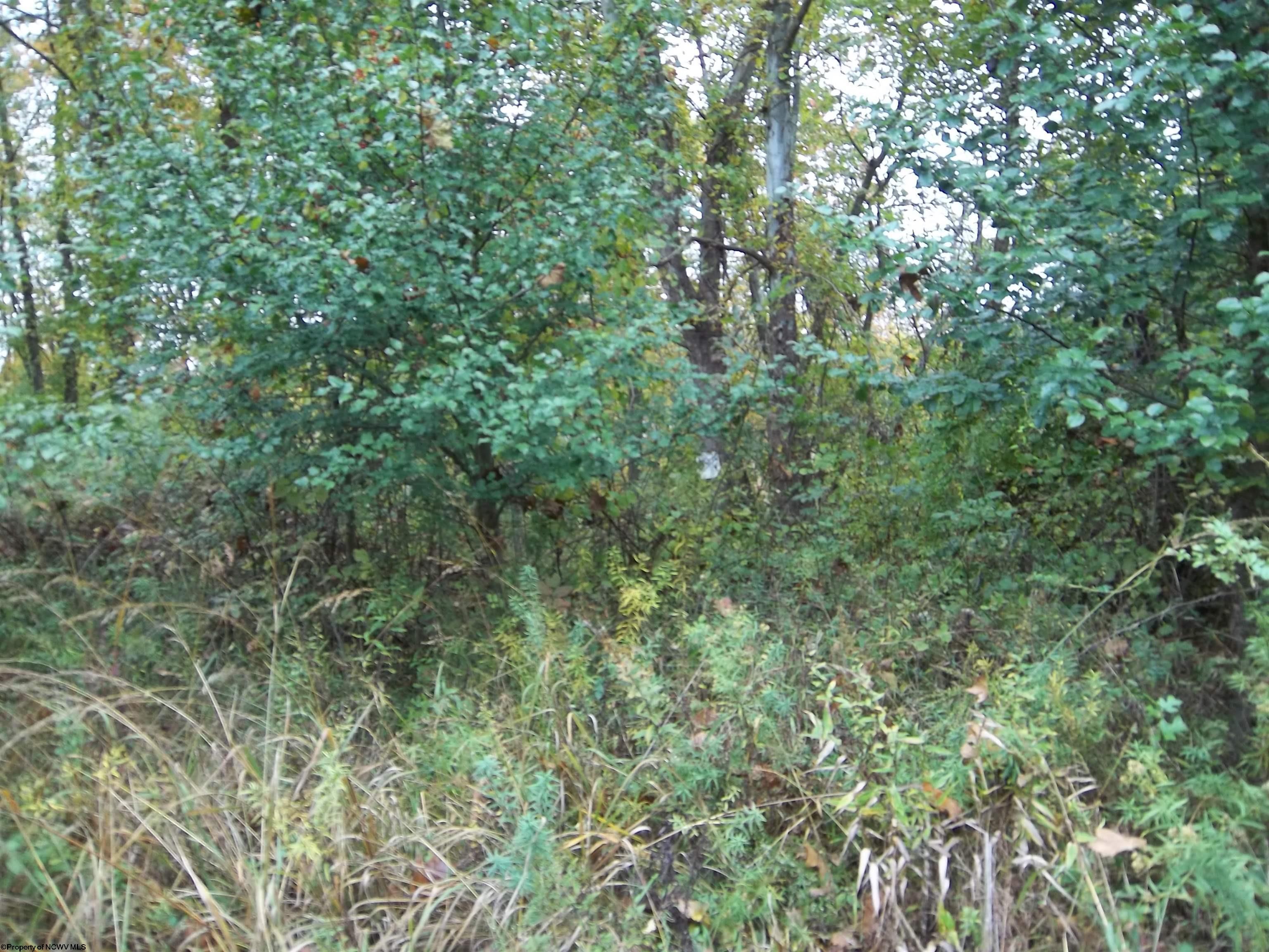 Gallery Image 38