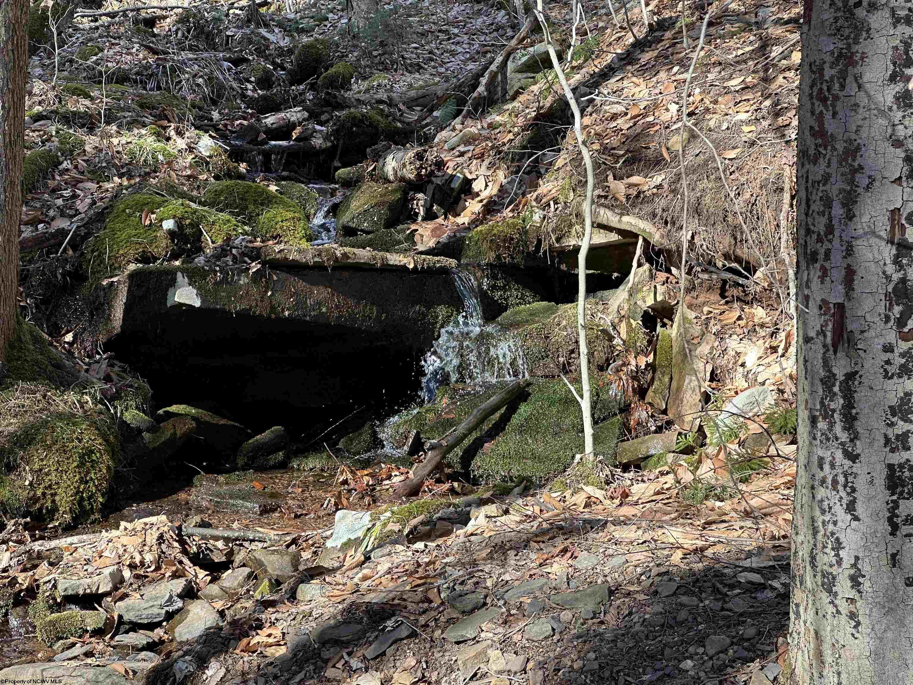 LOT 27 BLACK BEAR TRAIL, DAVIS, WV 26260 MountainTop Realty