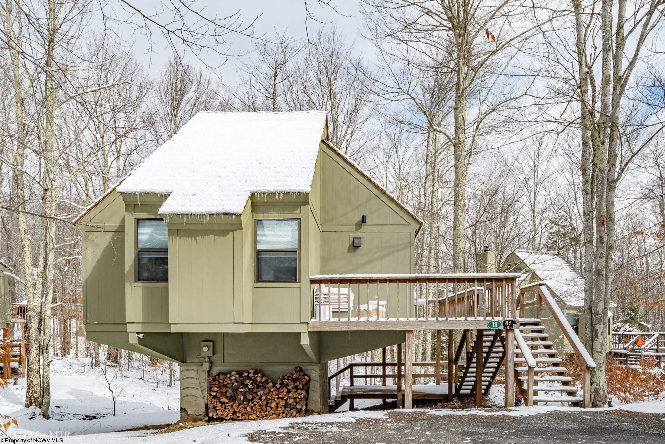 11 CHIPMUNK LANE, DAVIS, WV 26260 MountainTop Realty