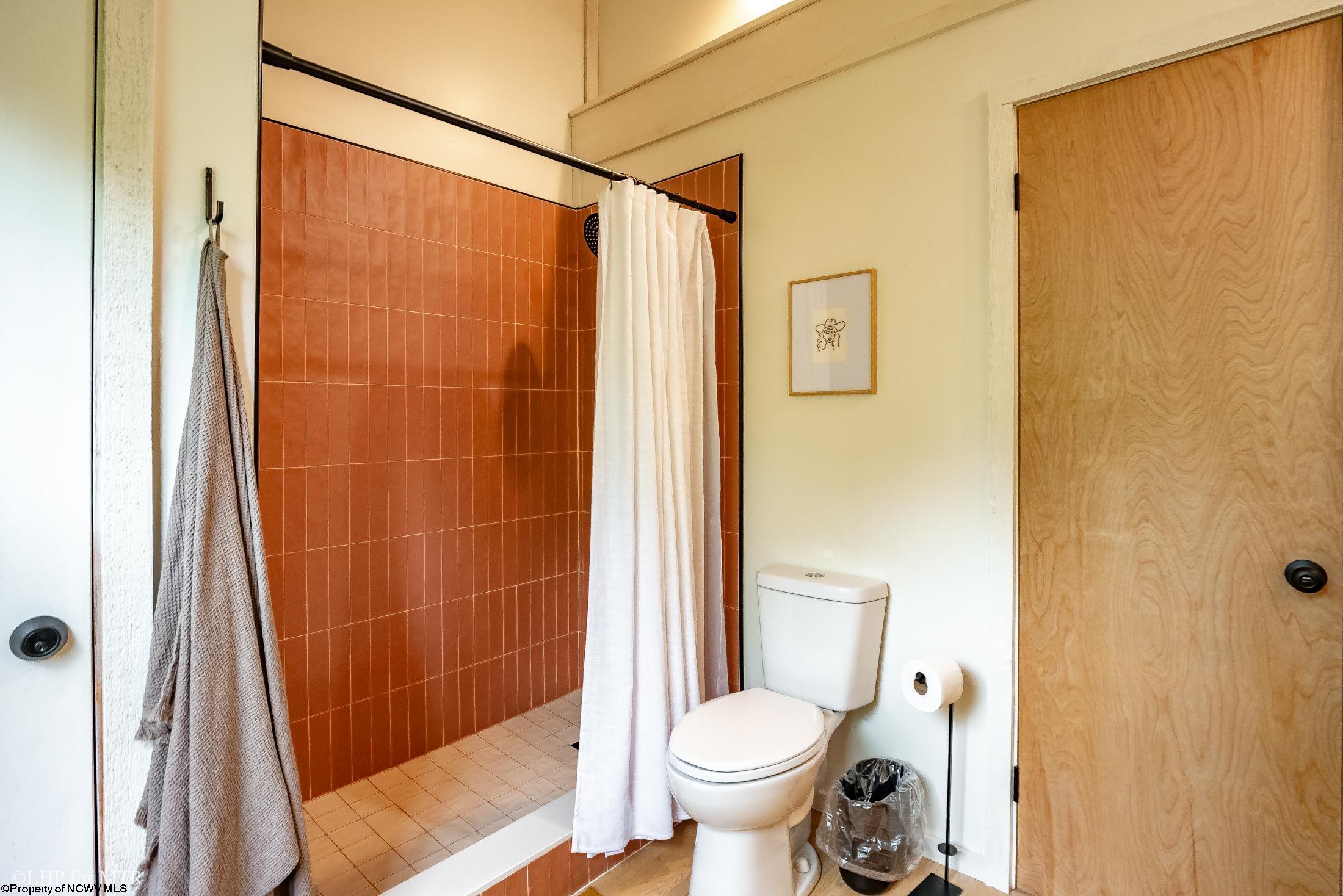 11 CHIPMUNK LANE, DAVIS, WV 26260 MountainTop Realty