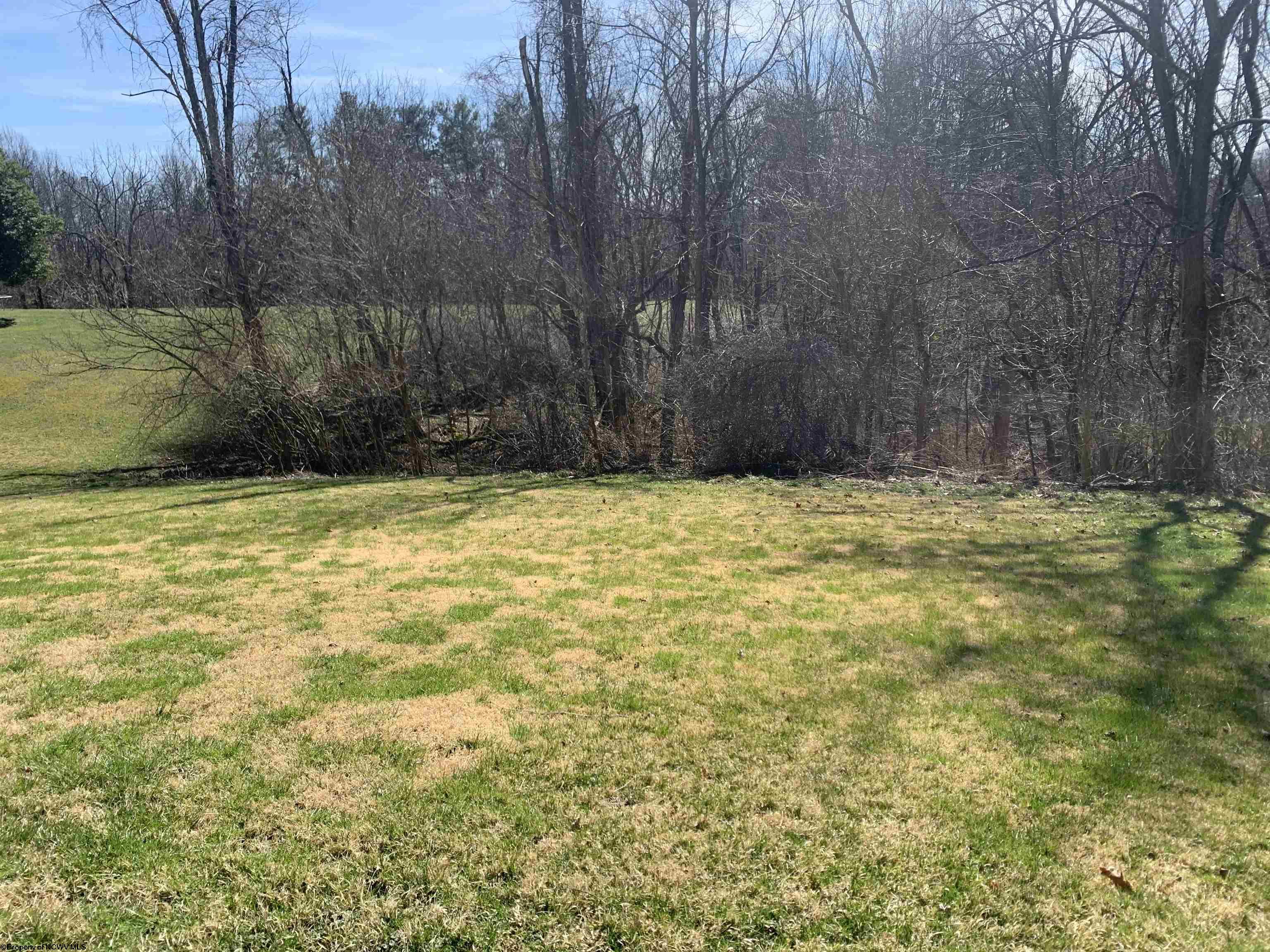 Gallery Image 25
