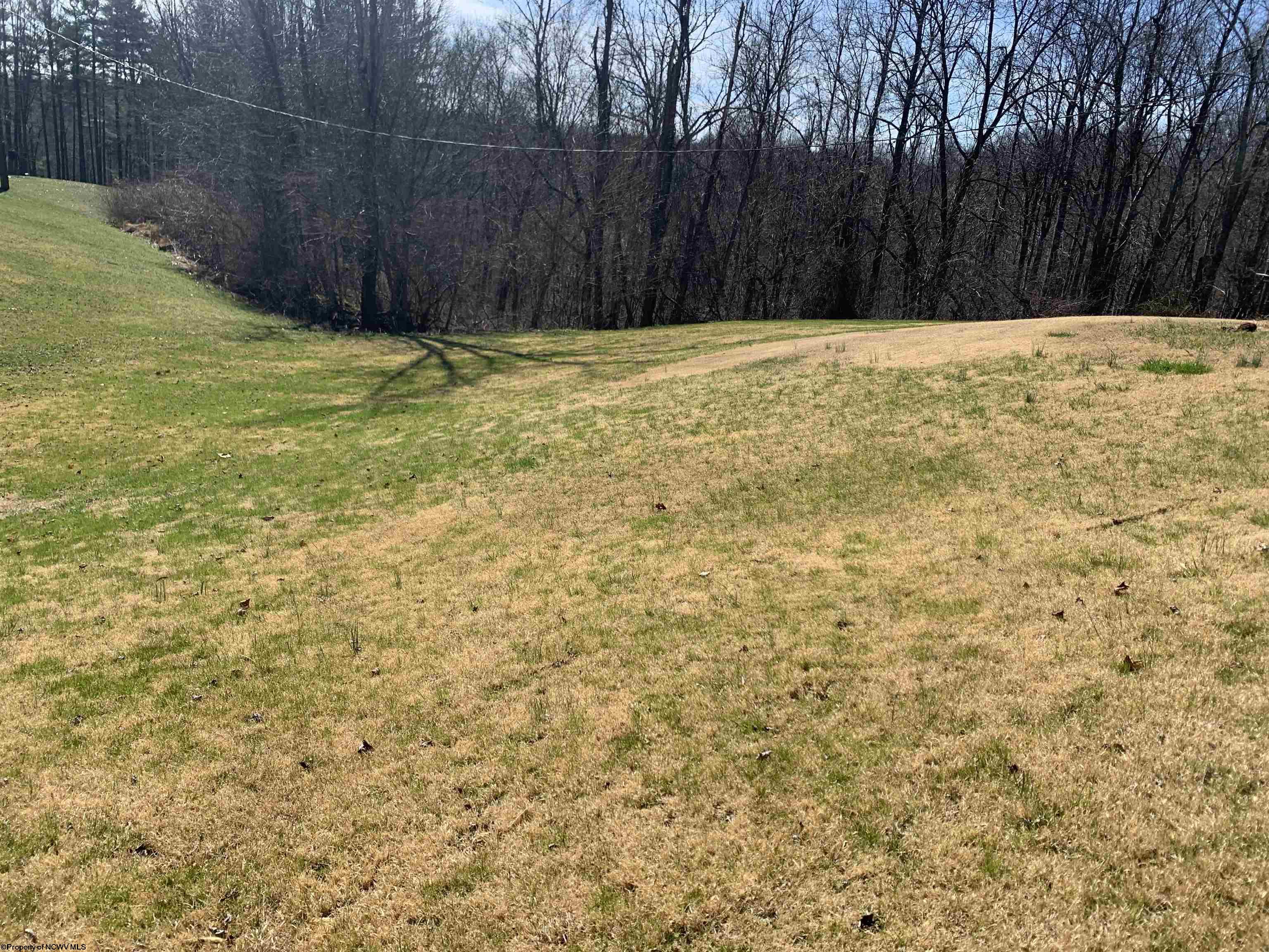 Gallery Image 29