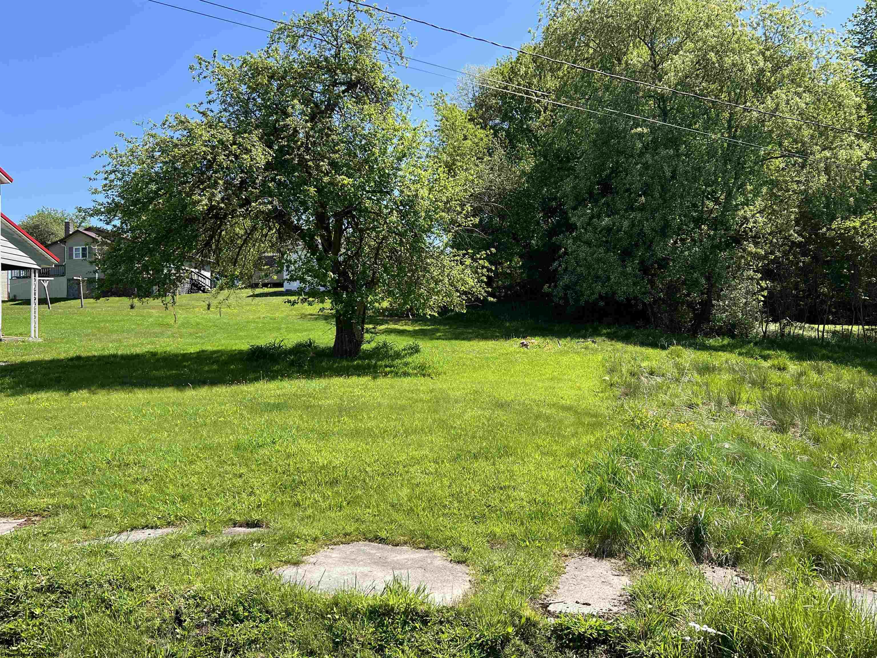 TBD FIFTH STREET, DAVIS, WV 26260 • Black Bear Resort