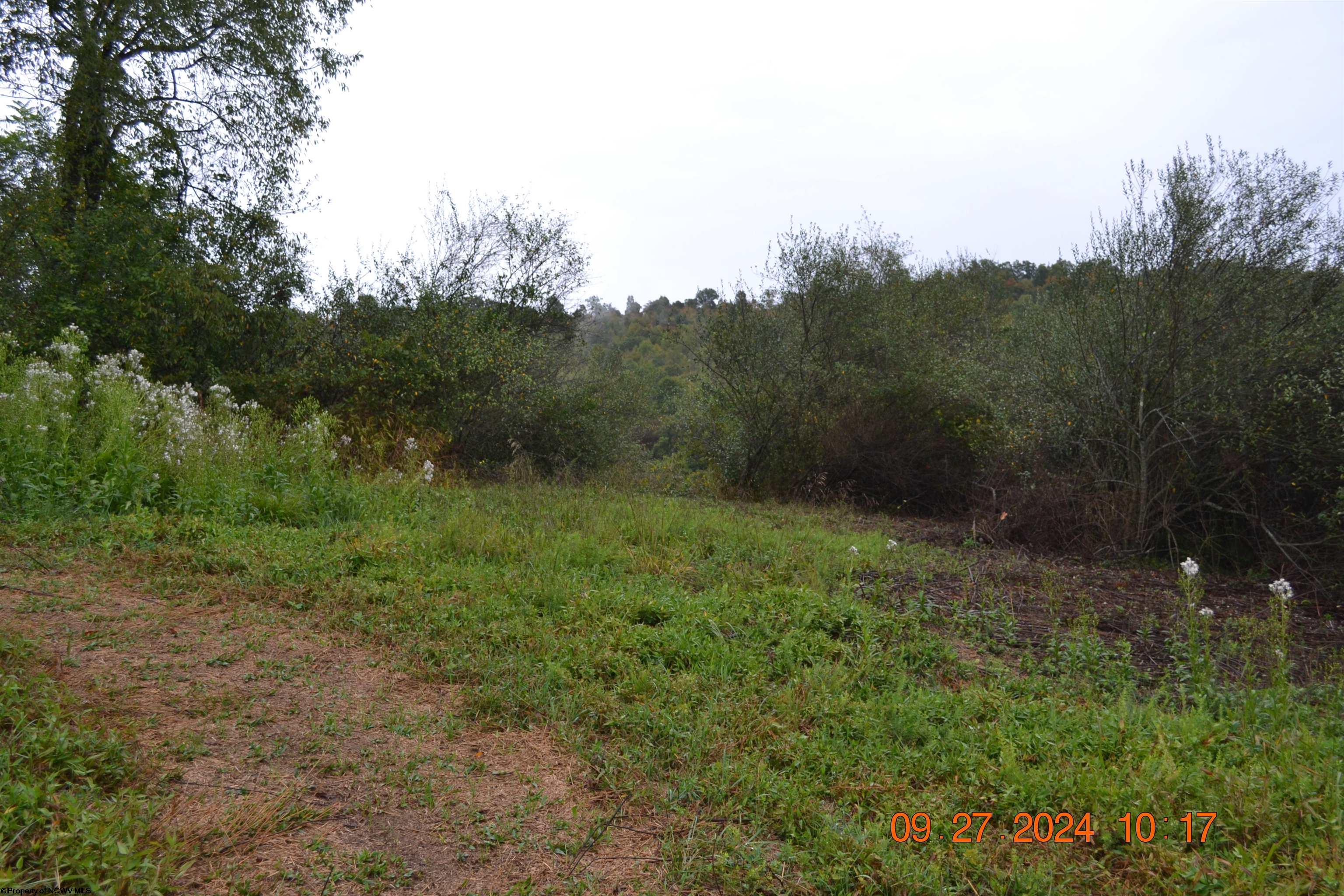 Gallery Image 10