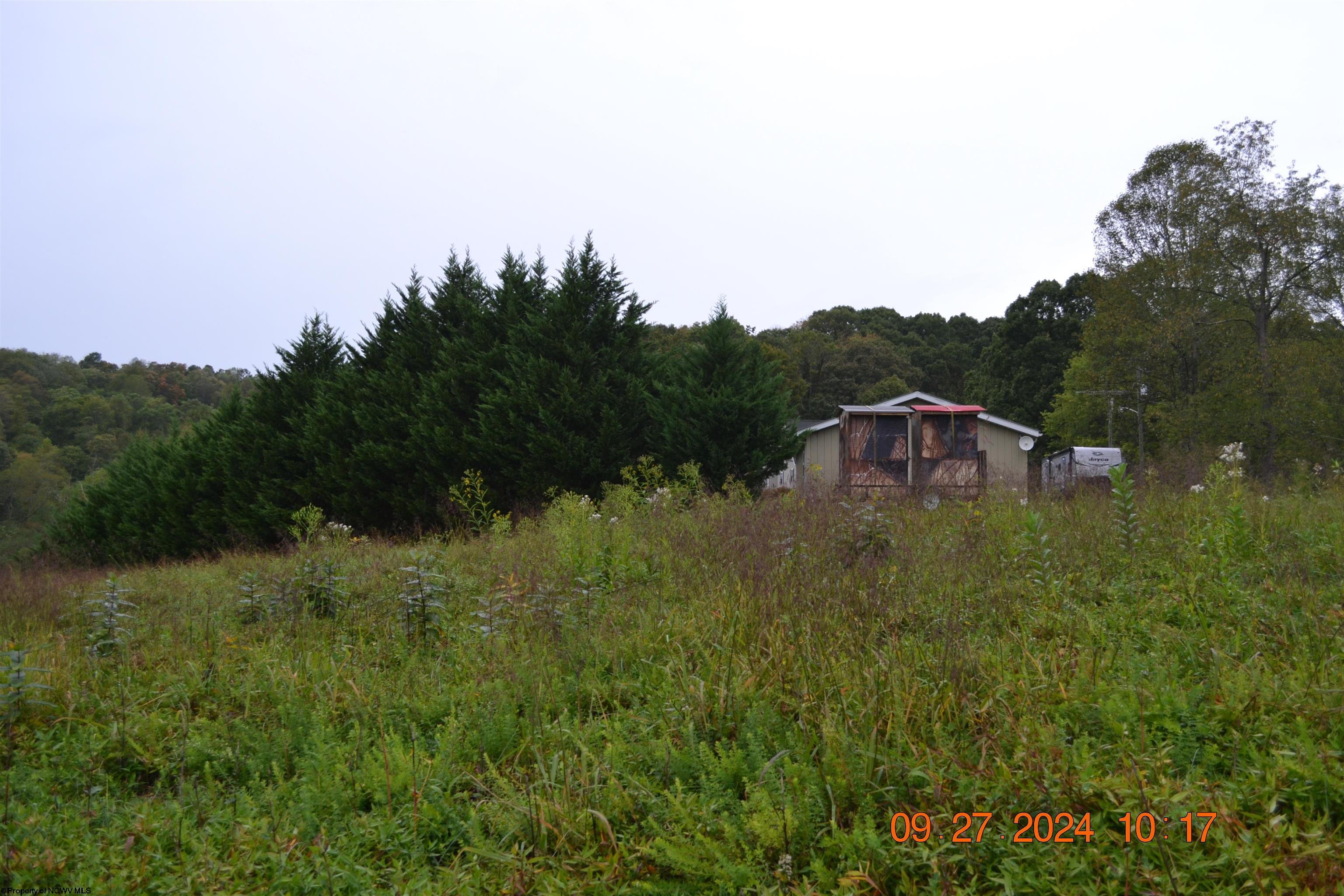Gallery Image 12
