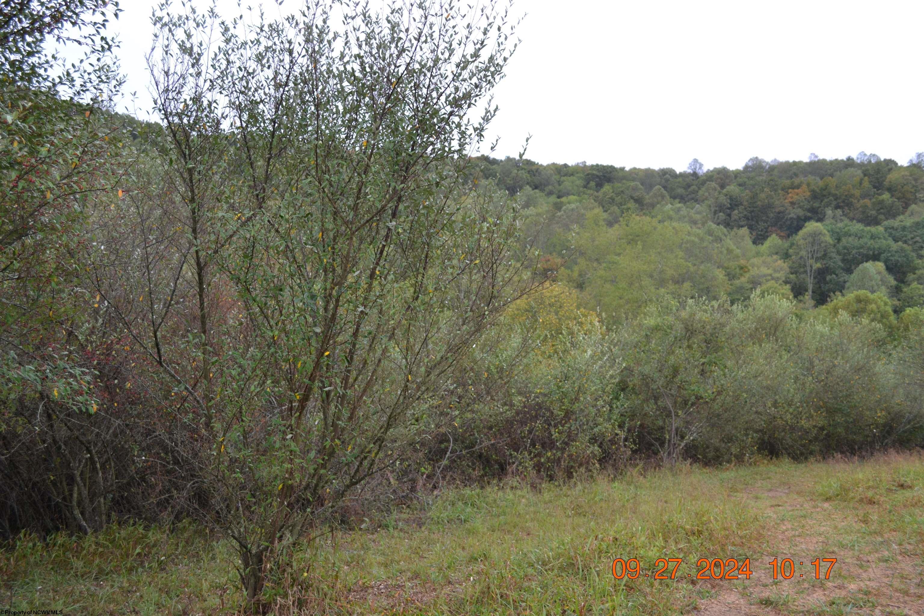 Gallery Image 13
