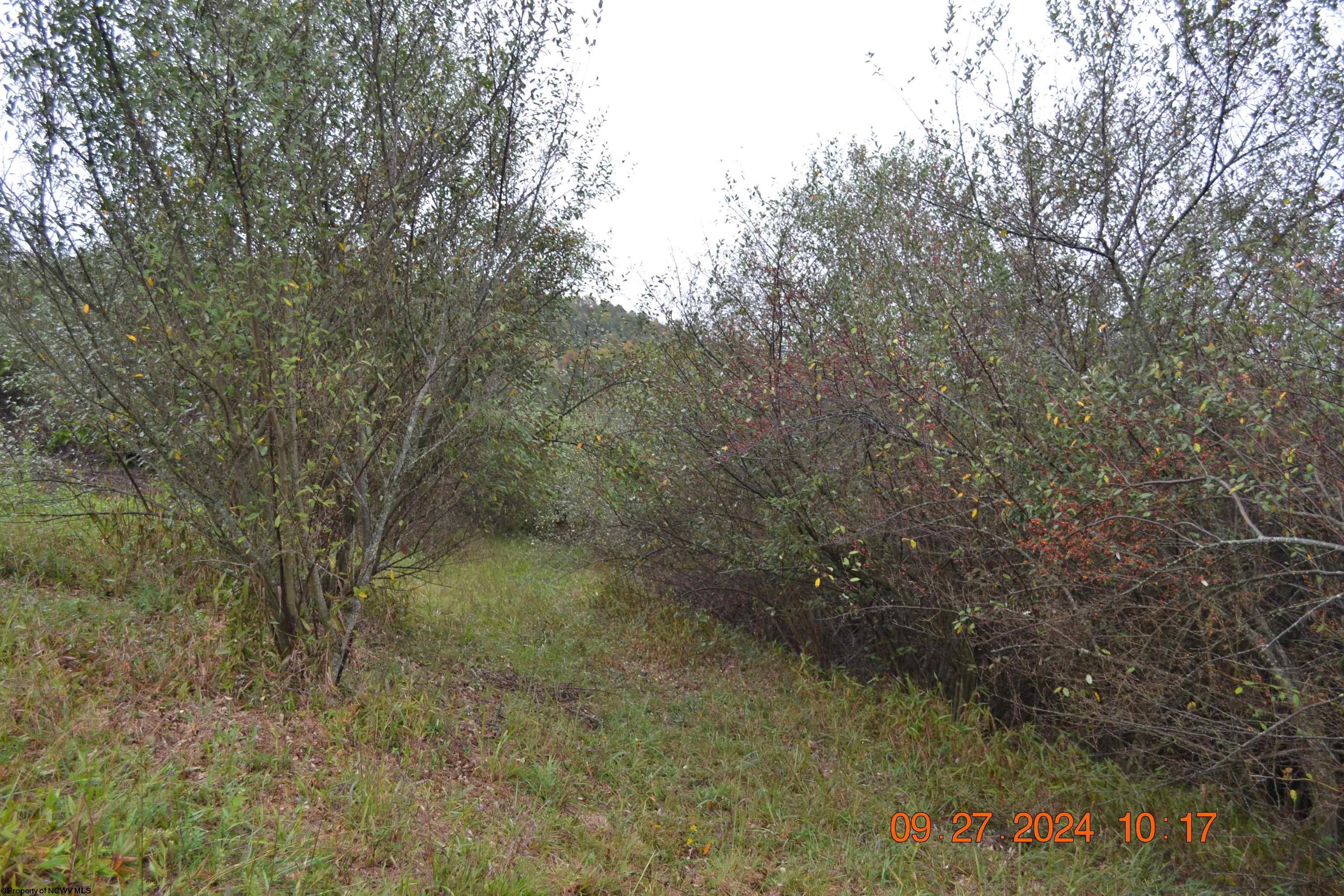 Gallery Image 14