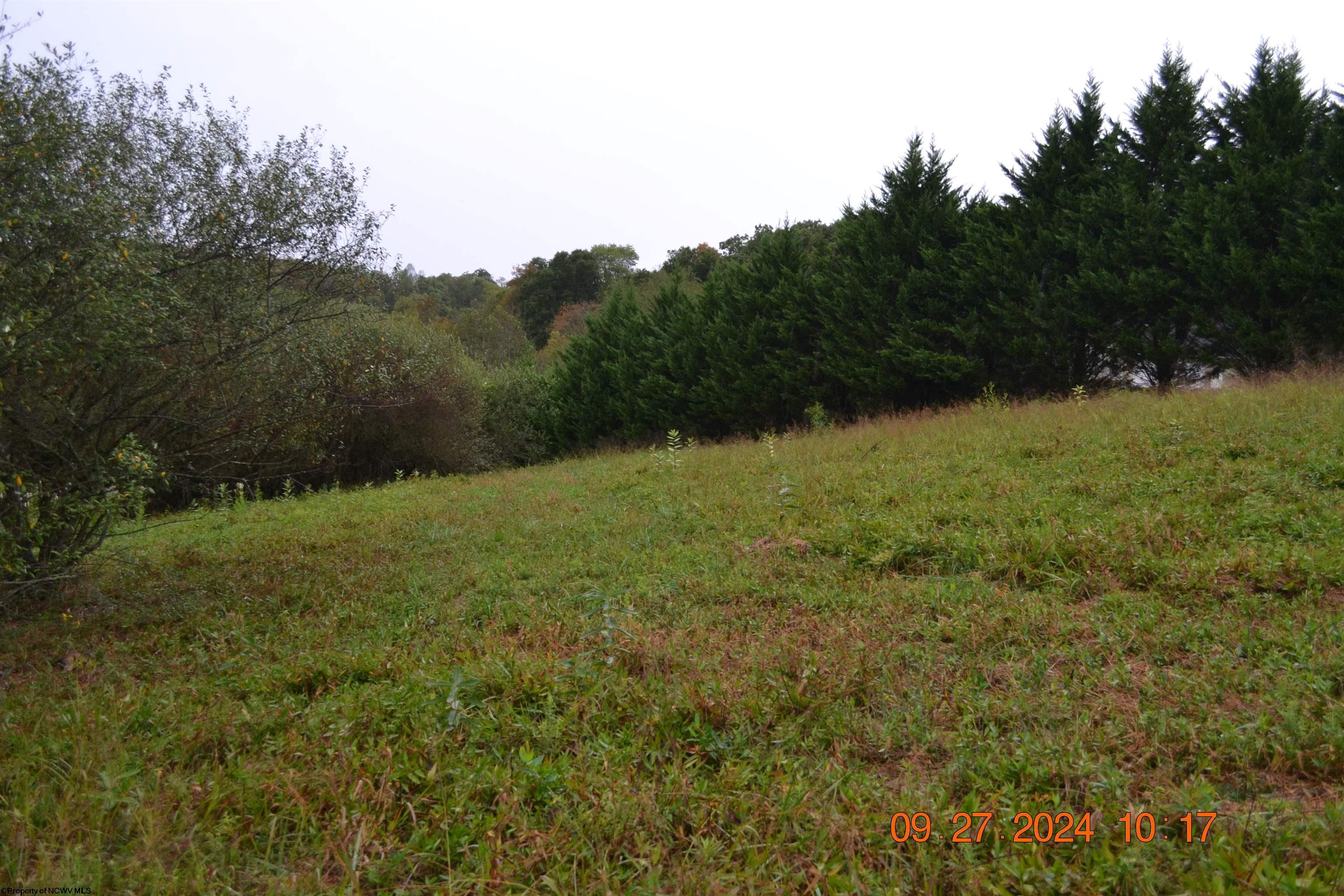 Gallery Image 15