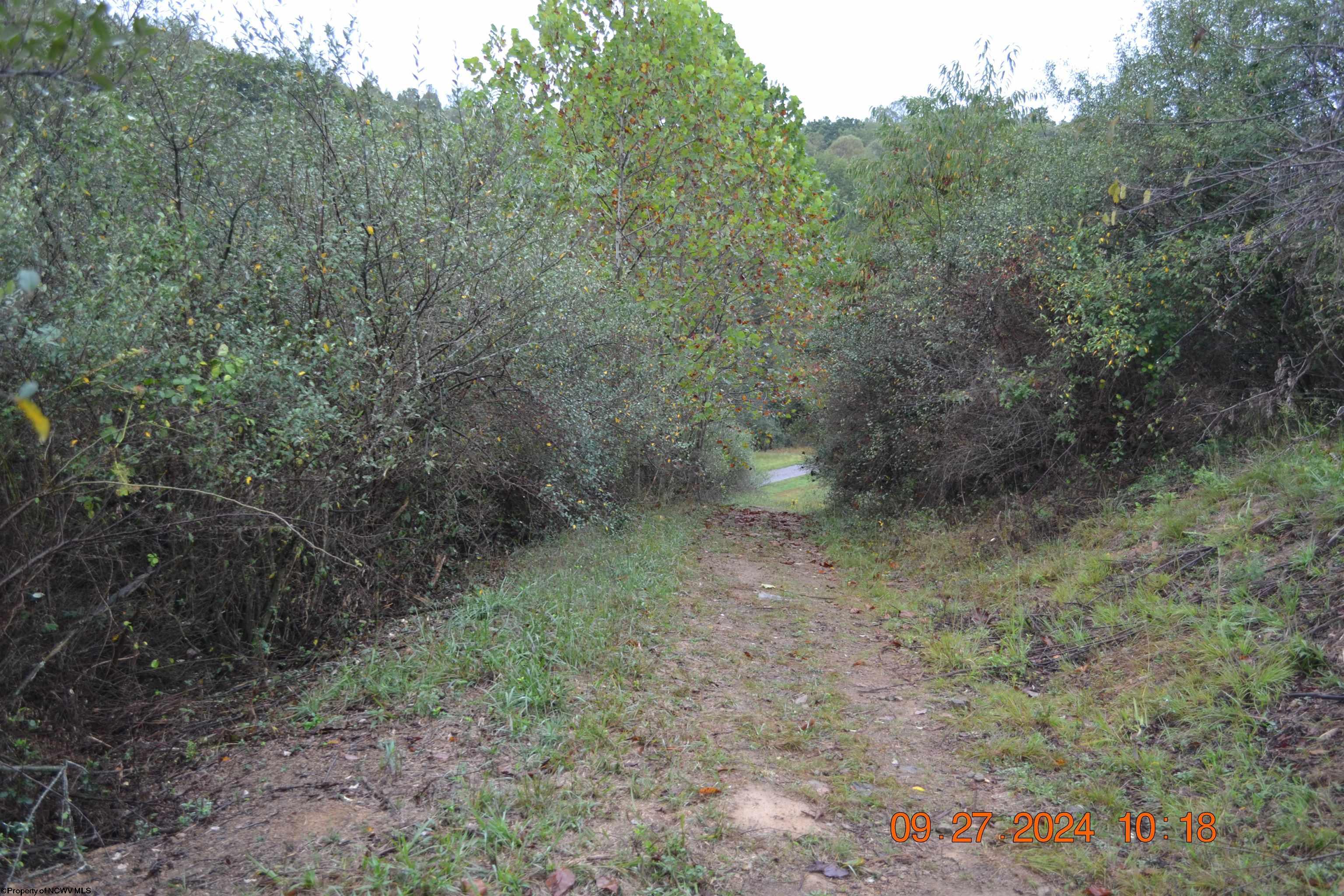 Gallery Image 16