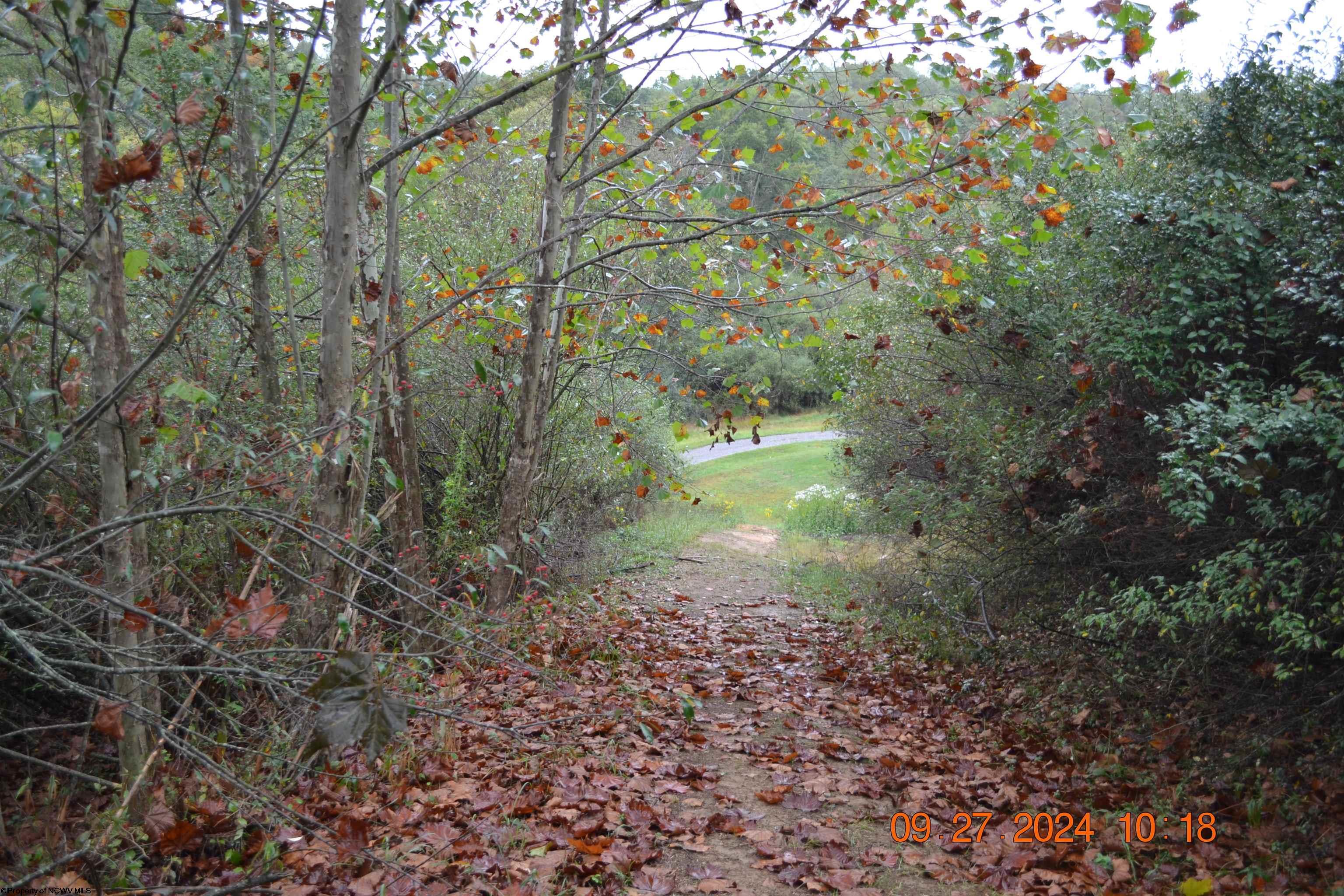 Gallery Image 17