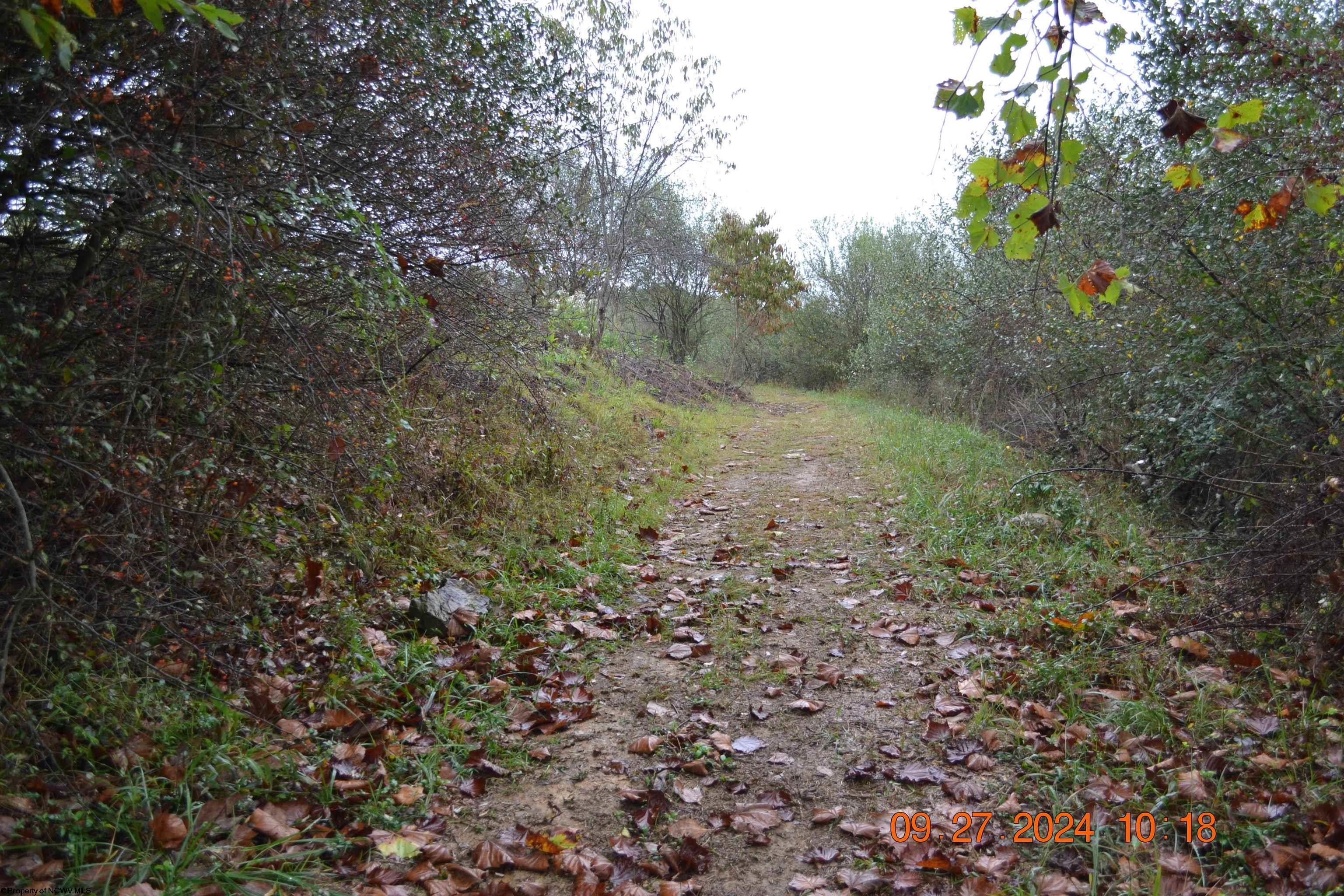 Gallery Image 18