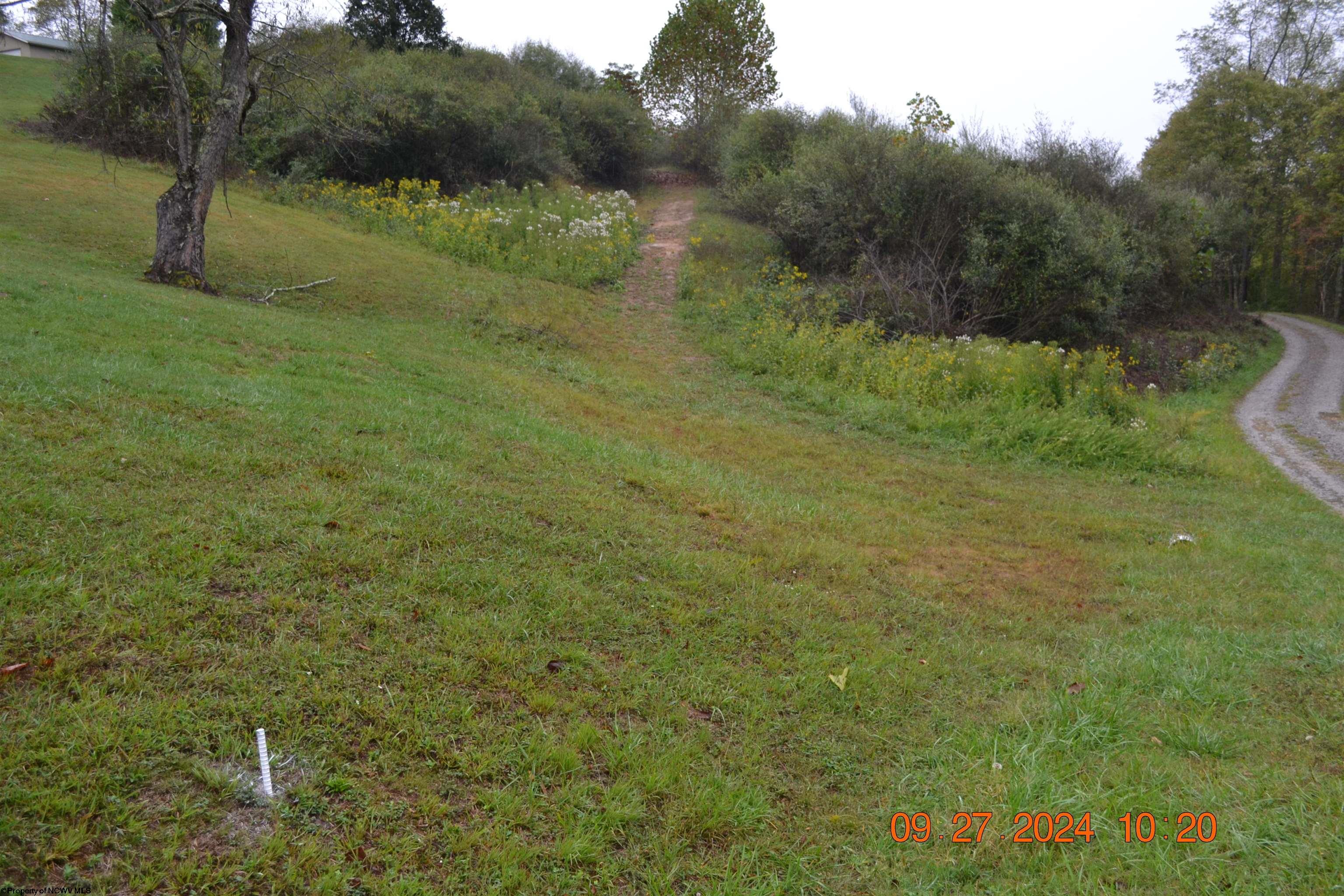 Gallery Image 19