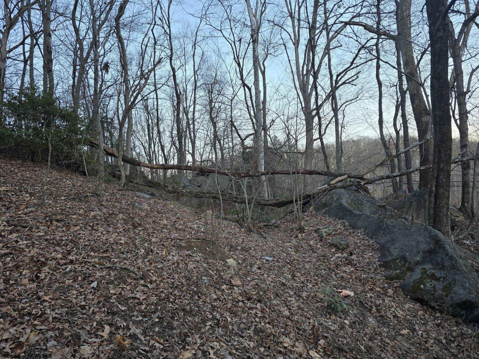 Gallery Image 10