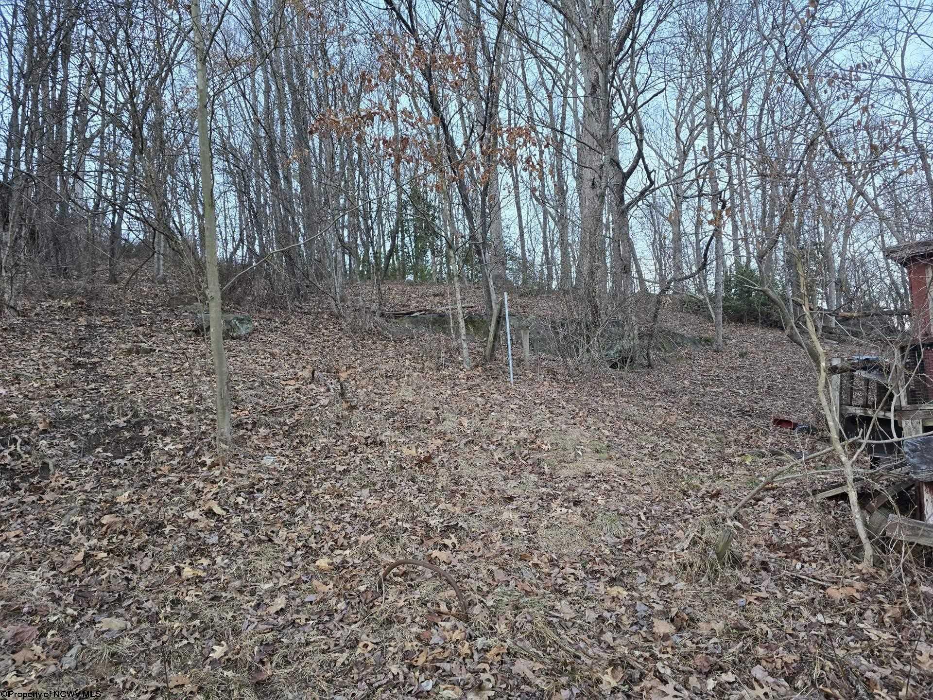 Gallery Image 13