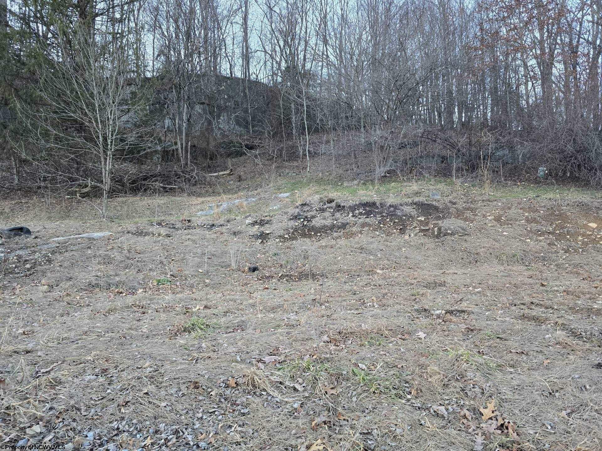 Gallery Image 16