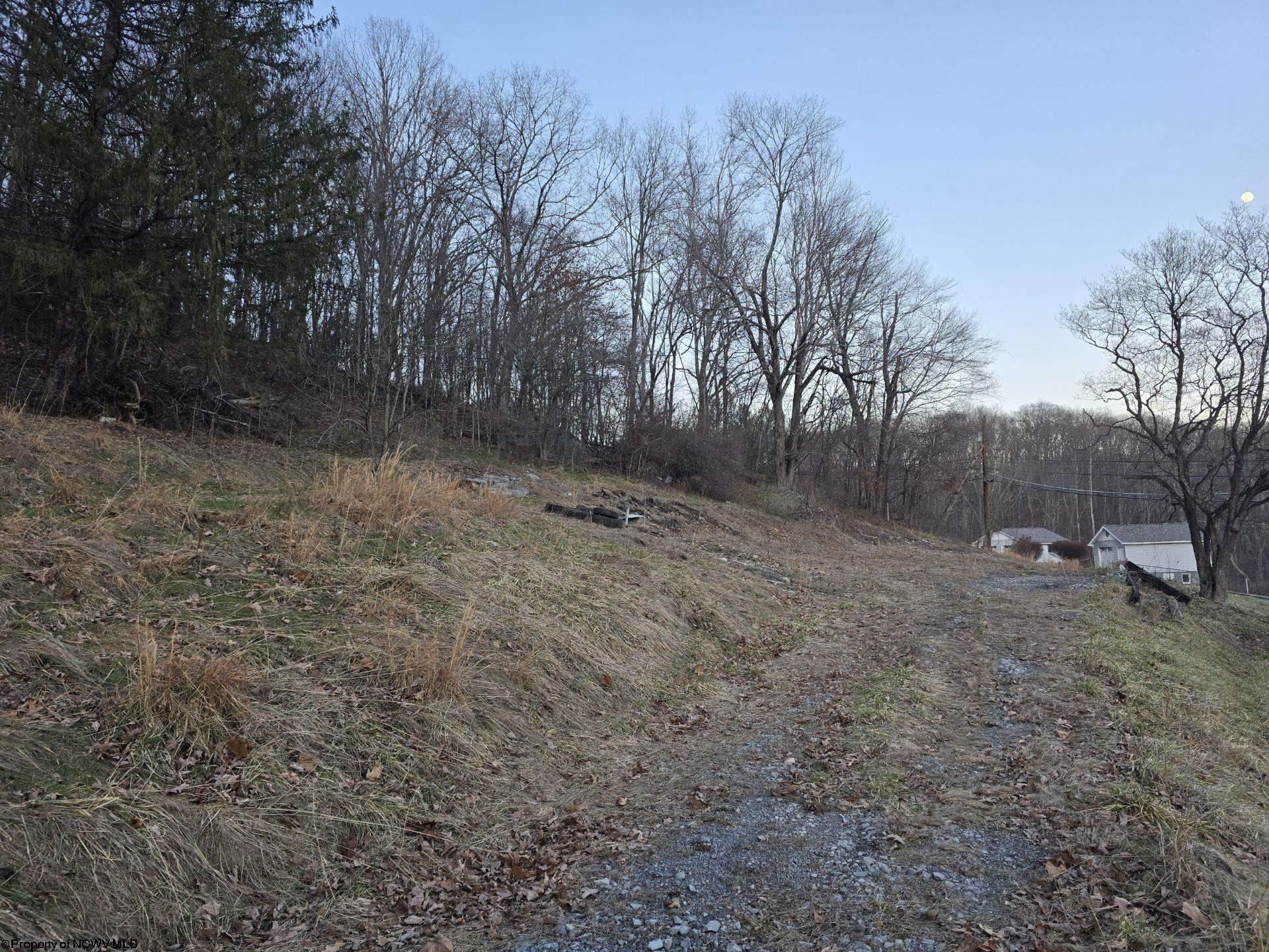 Gallery Image 19