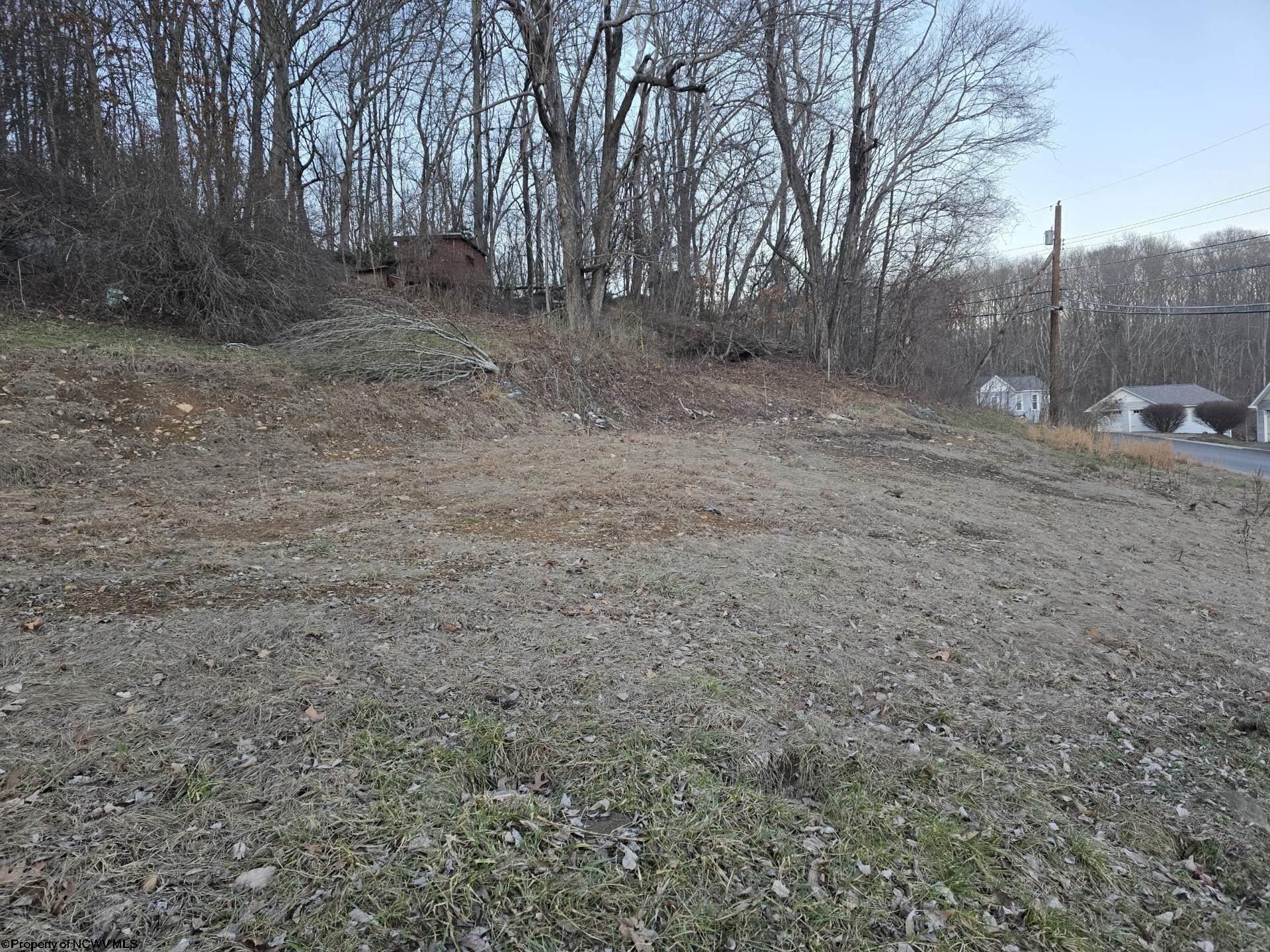 Gallery Image 21