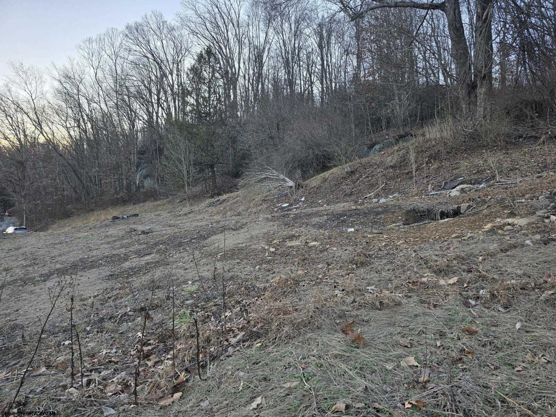 Gallery Image 6