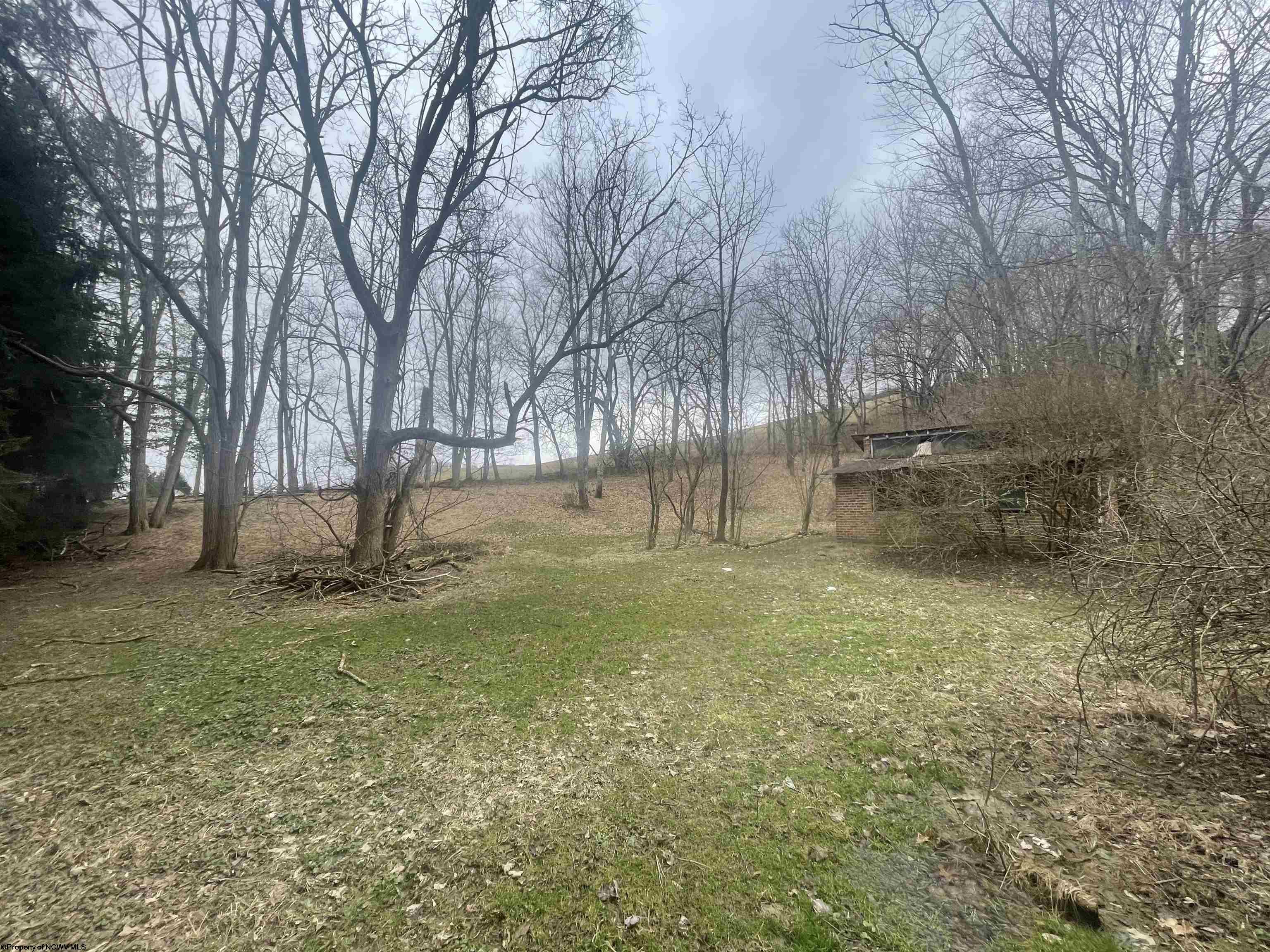 Gallery Image 12