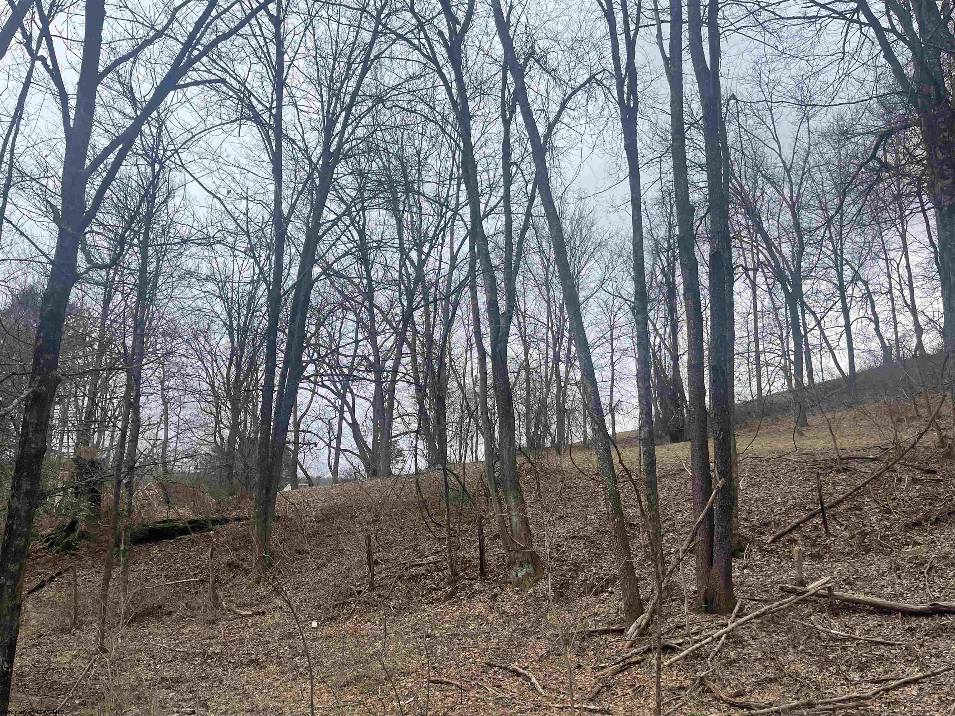 Gallery Image 13