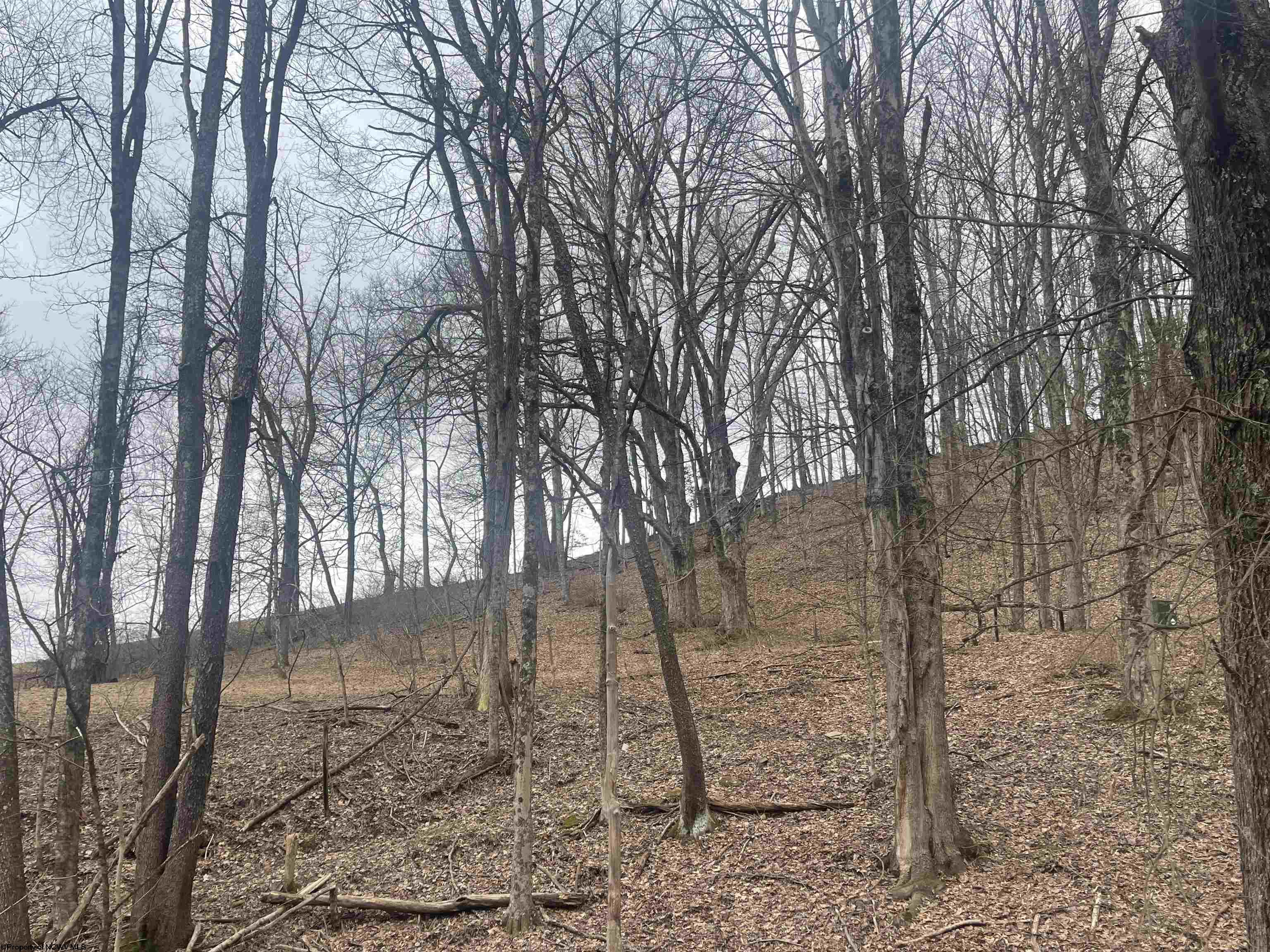 Gallery Image 14