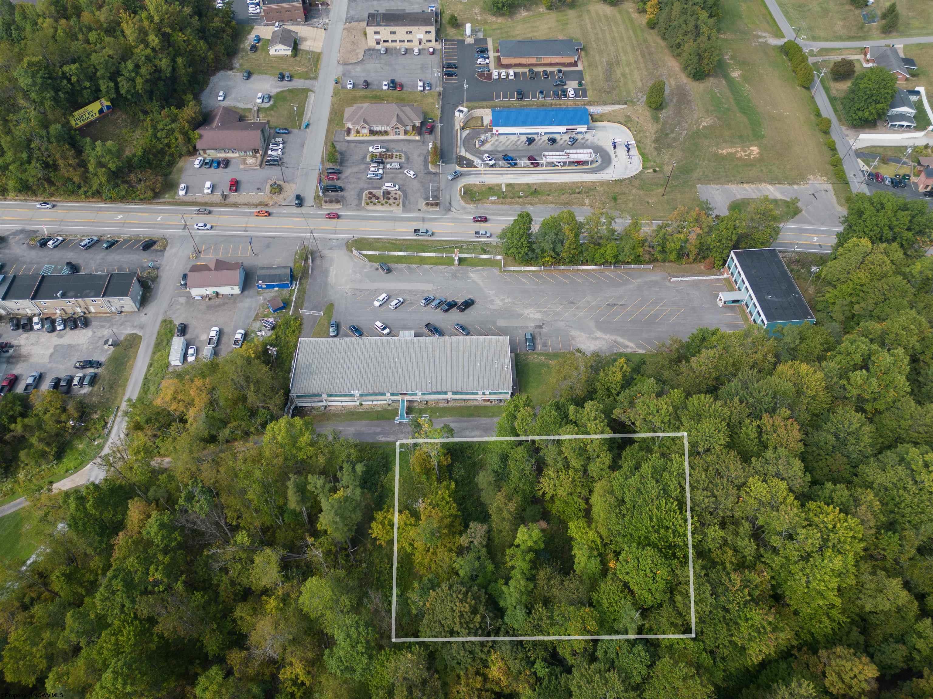 American Eagles, Morgan Do...