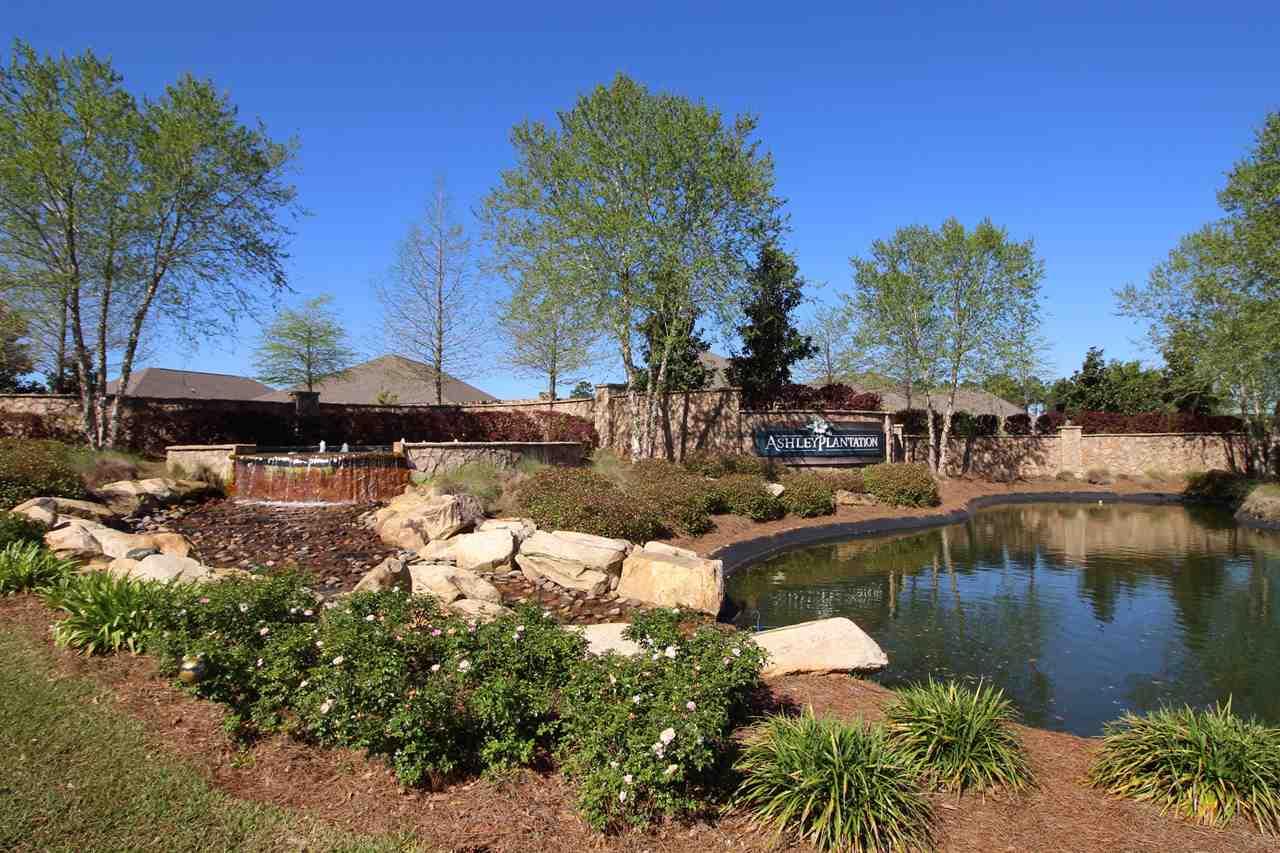 ashley plantation pool