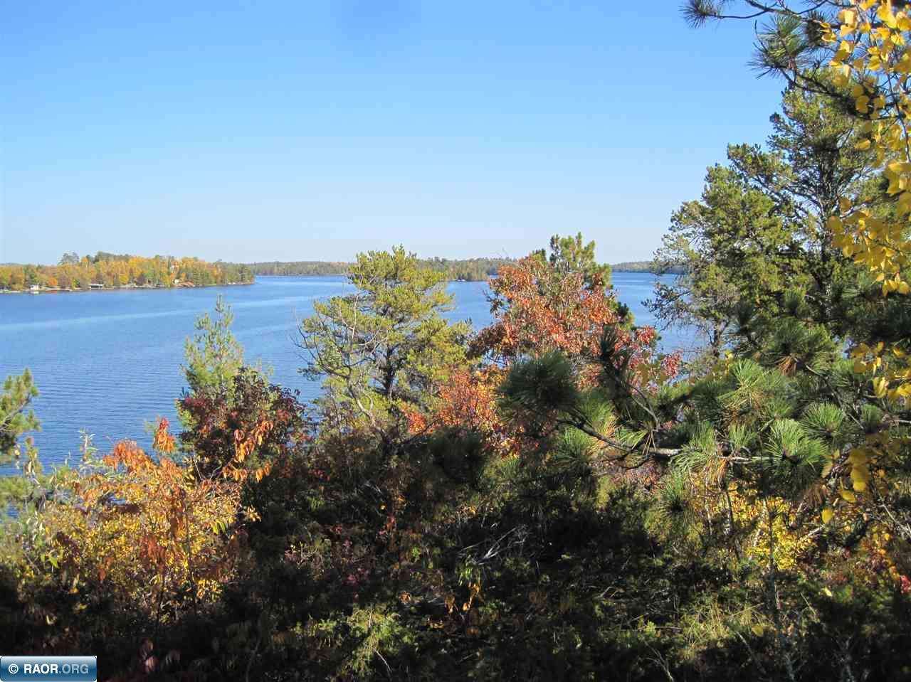 Govt Lot 5 & 9 (Island) International Falls MN 56649 139277 Island