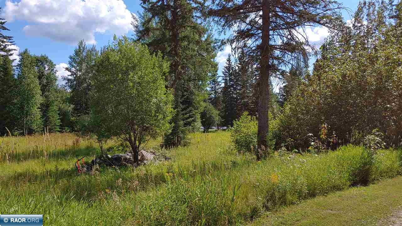 10339Lot 9 Ash River Trail Orr MN 55771 140031 Island View Realty