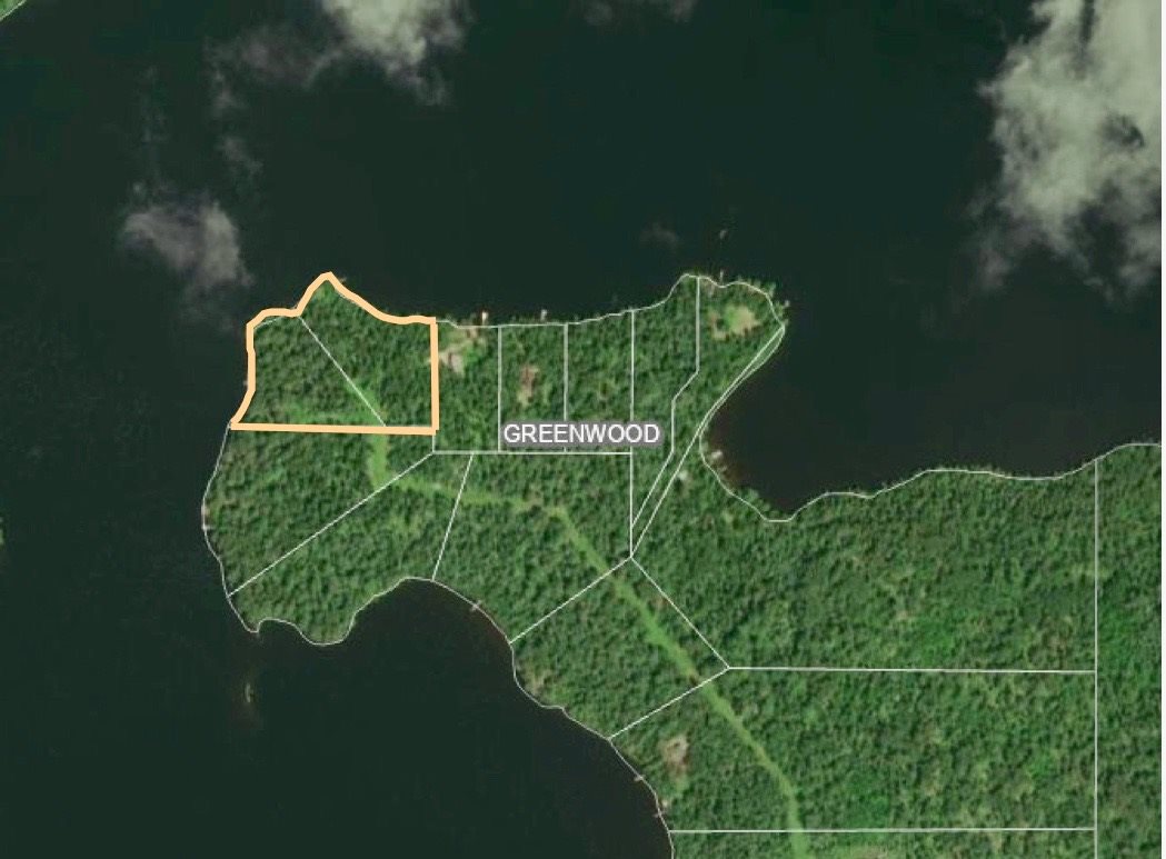 95810 & 95812 Pine Island, Tower, MN 55790