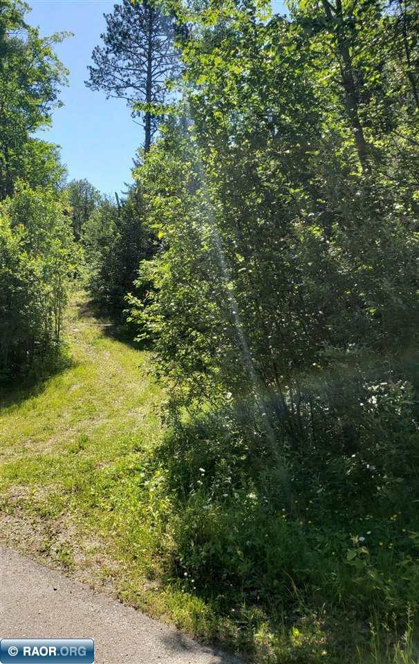 Undeveloped Land For Sale In North East Minnesota