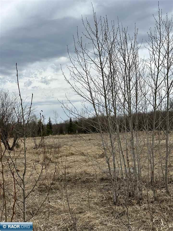 Littlefork and Koochiching County Listings Island View Realty