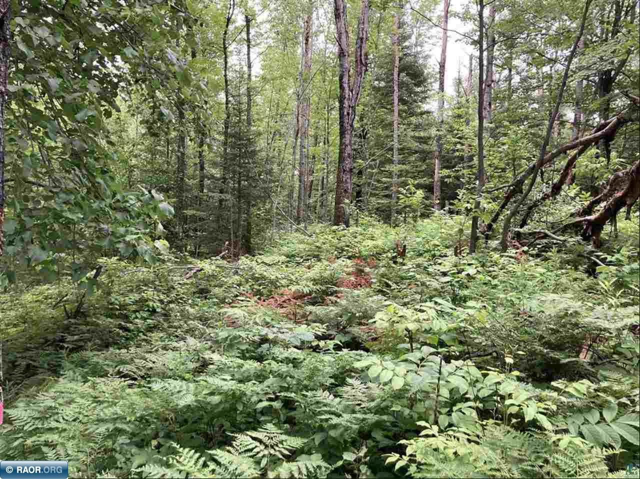 5527 McQuade Rd, Duluth, MN 55804 78,000 Lots & Land Sold