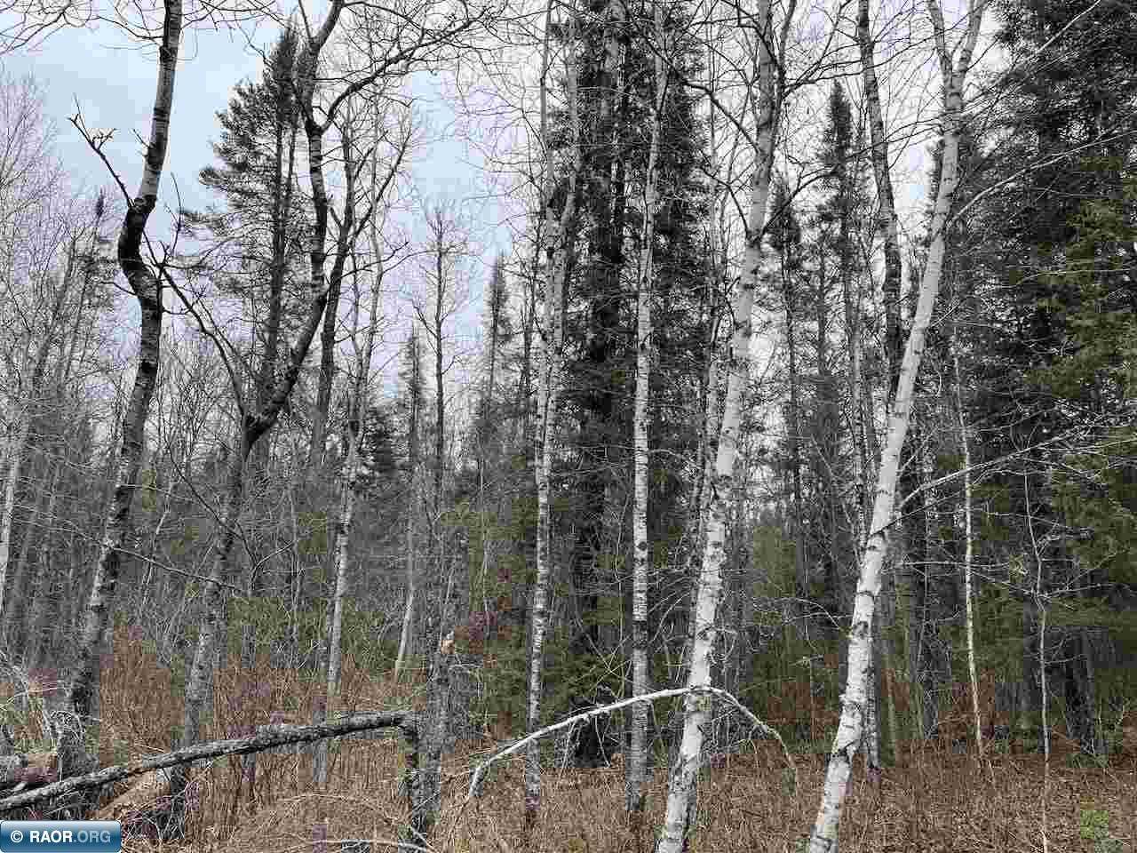 xxxx Deer Forest Rd, Aurora, MN 55705 Listing Photo  1
