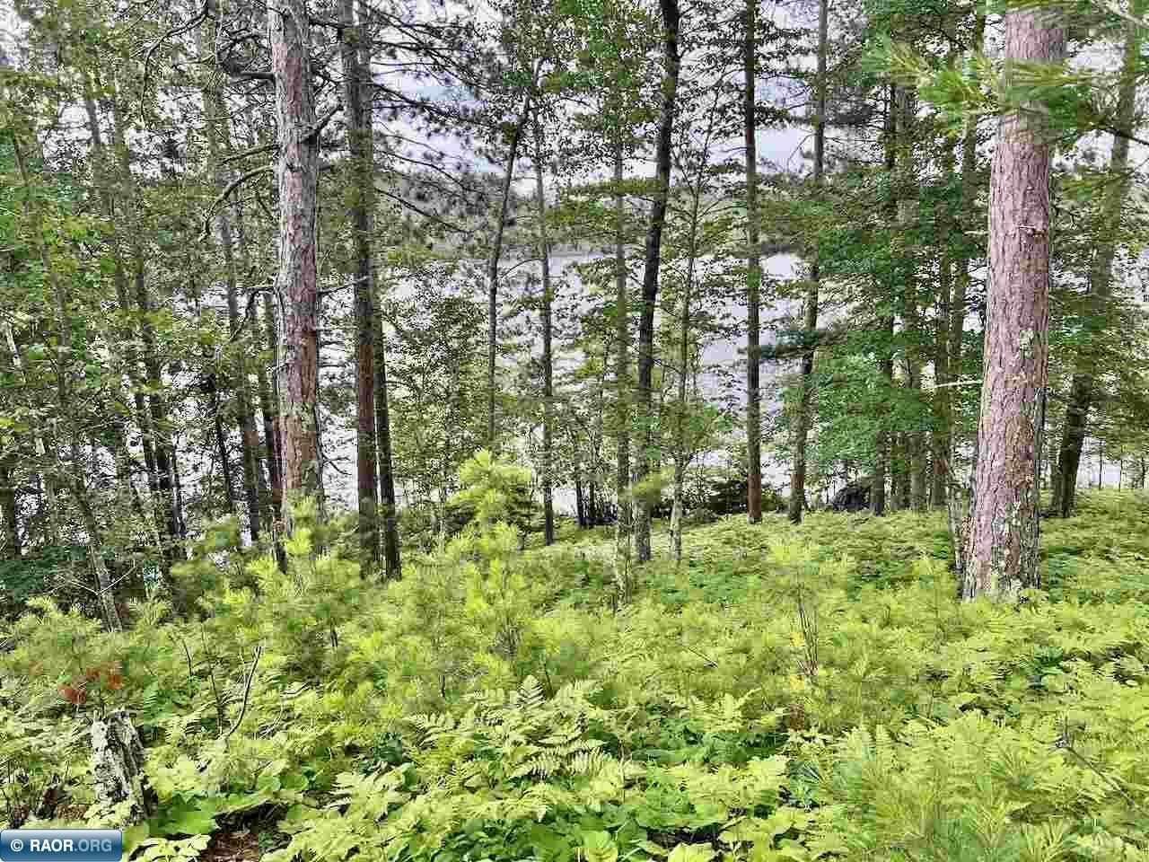 Cook MN Lots Land for Sale Northern Minnesota Janisch Realty