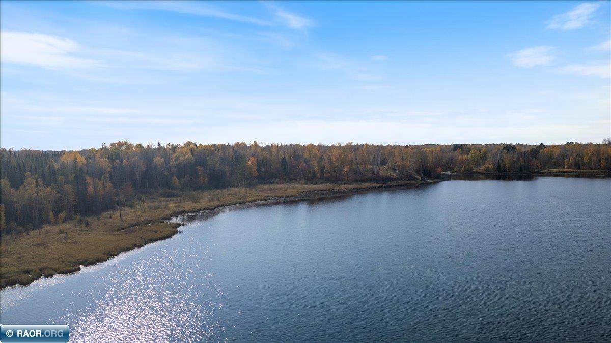 4061 Grass Lake Rd, Hibbing, MN 55746 Listing Photo  17